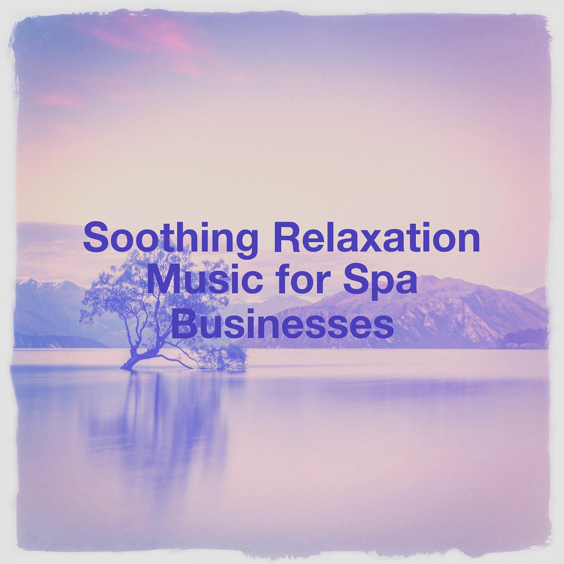 Постер альбома Soothing Relaxation Music for Spa Businesses