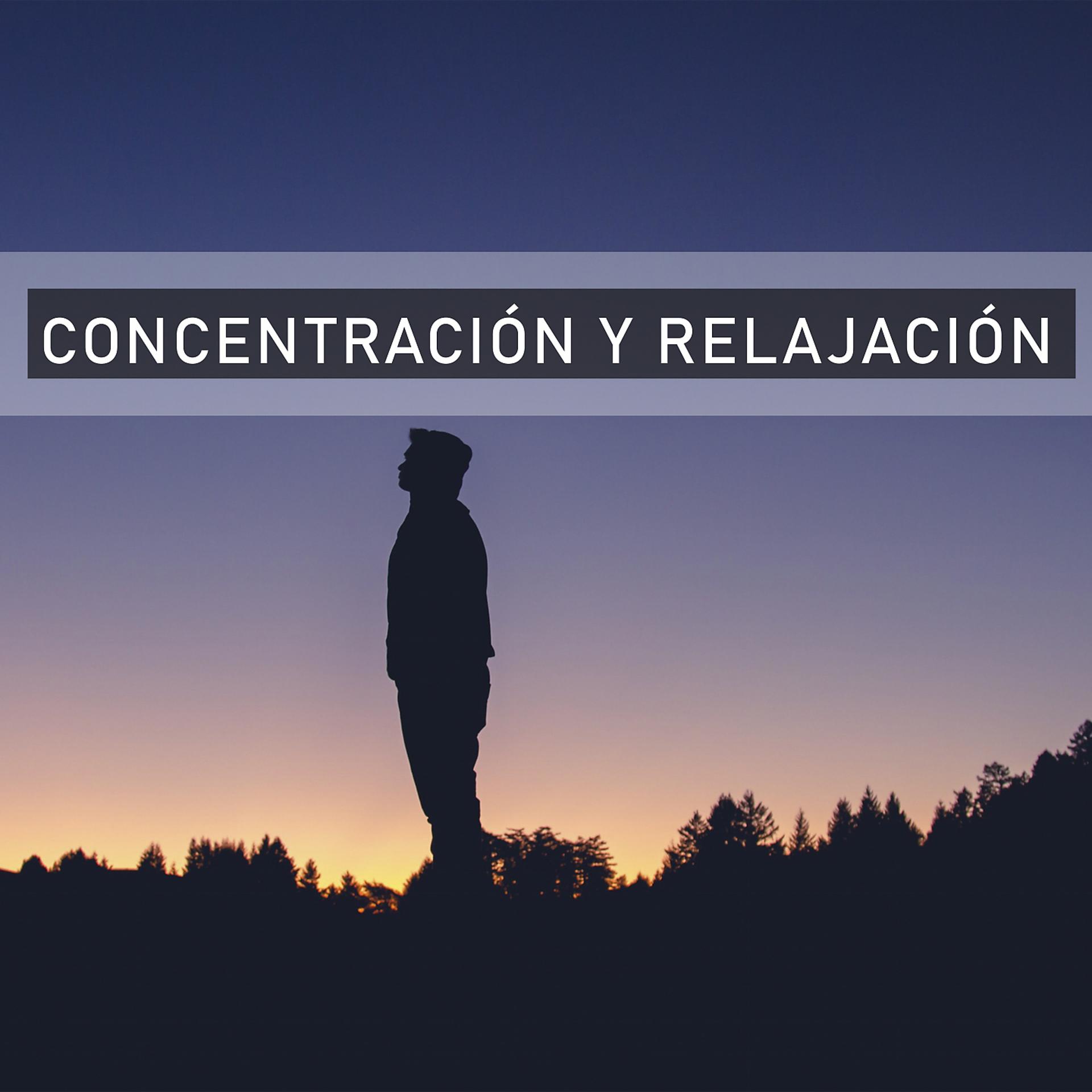 Постер альбома Concentración y Relajación