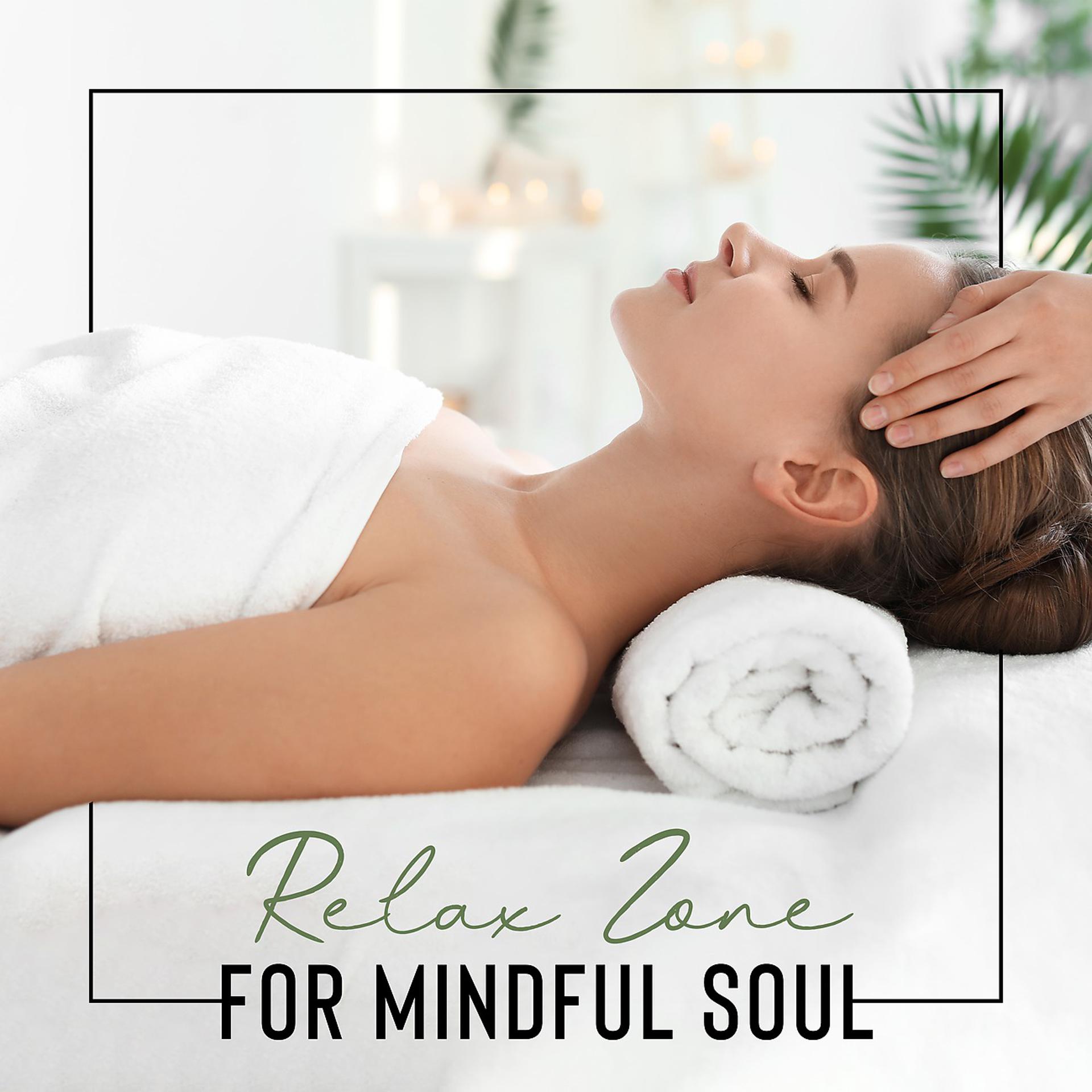 Постер альбома Relax Zone for Mindful Soul