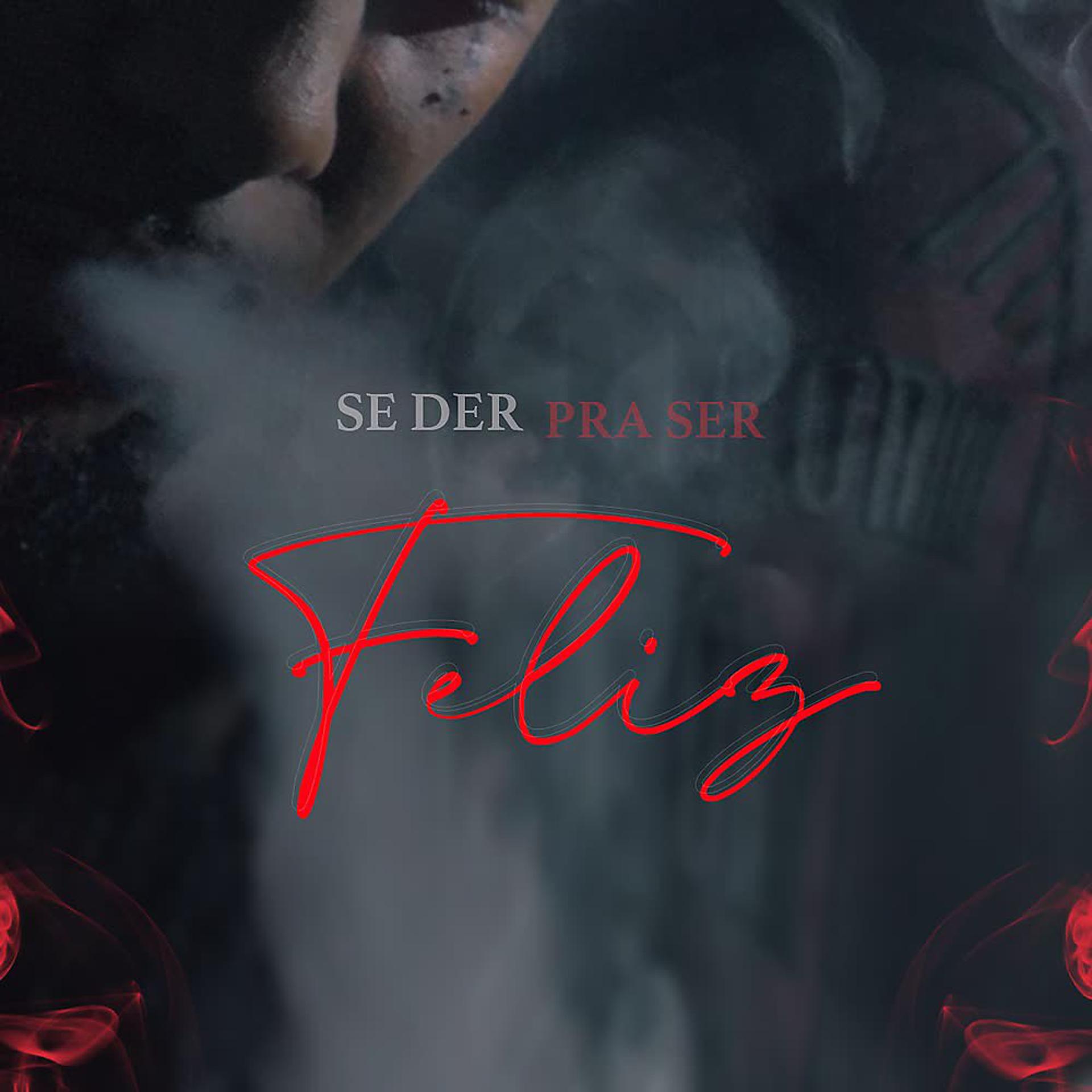 Постер альбома Se Der Pra Ser Feliz