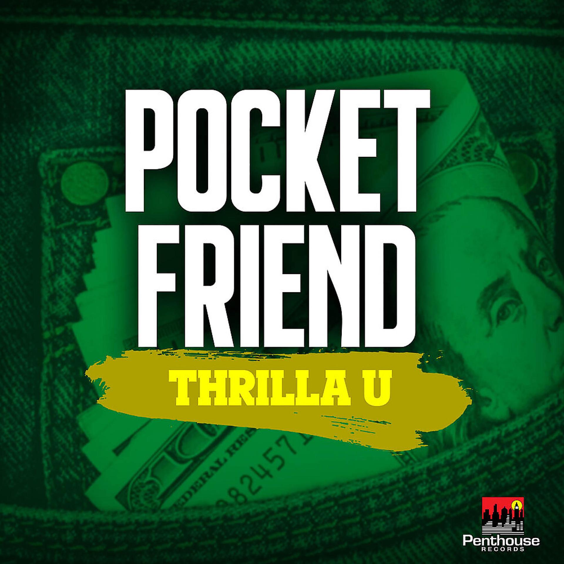 Постер альбома Pocket Friend