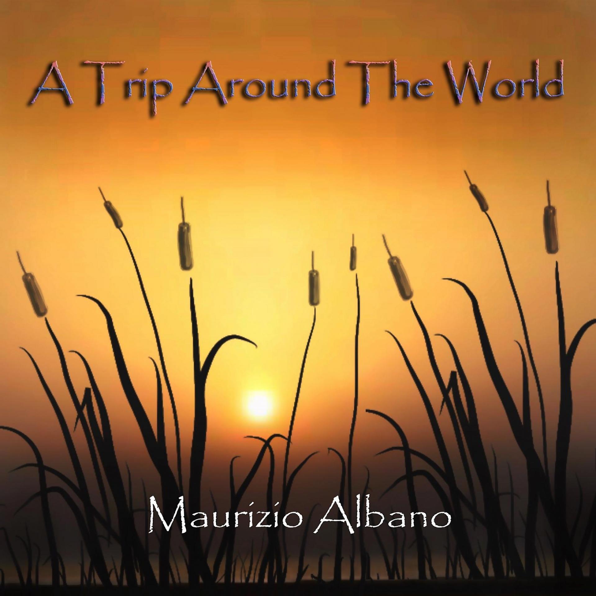 Постер альбома A trip around the world
