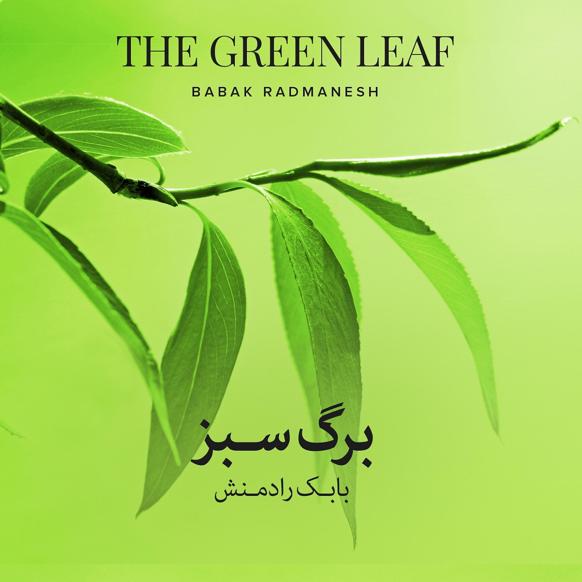 Постер альбома The Green Leaf