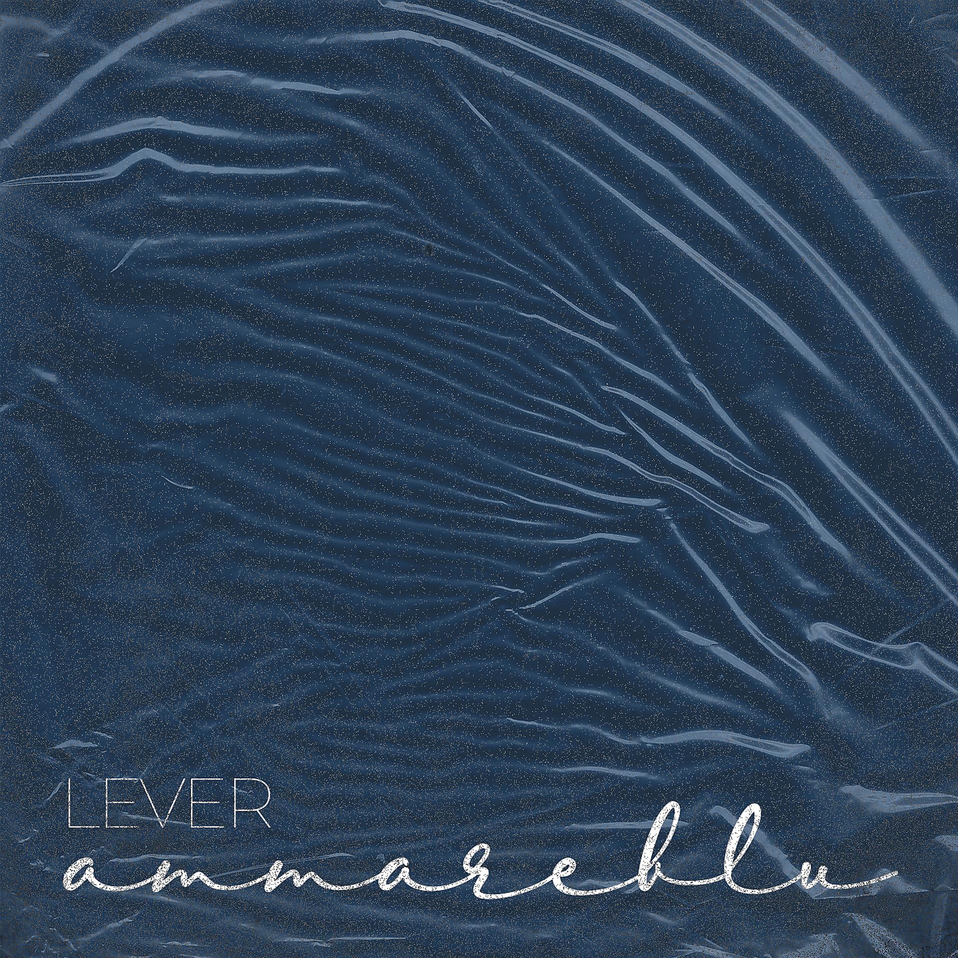 Постер альбома Ammareblu