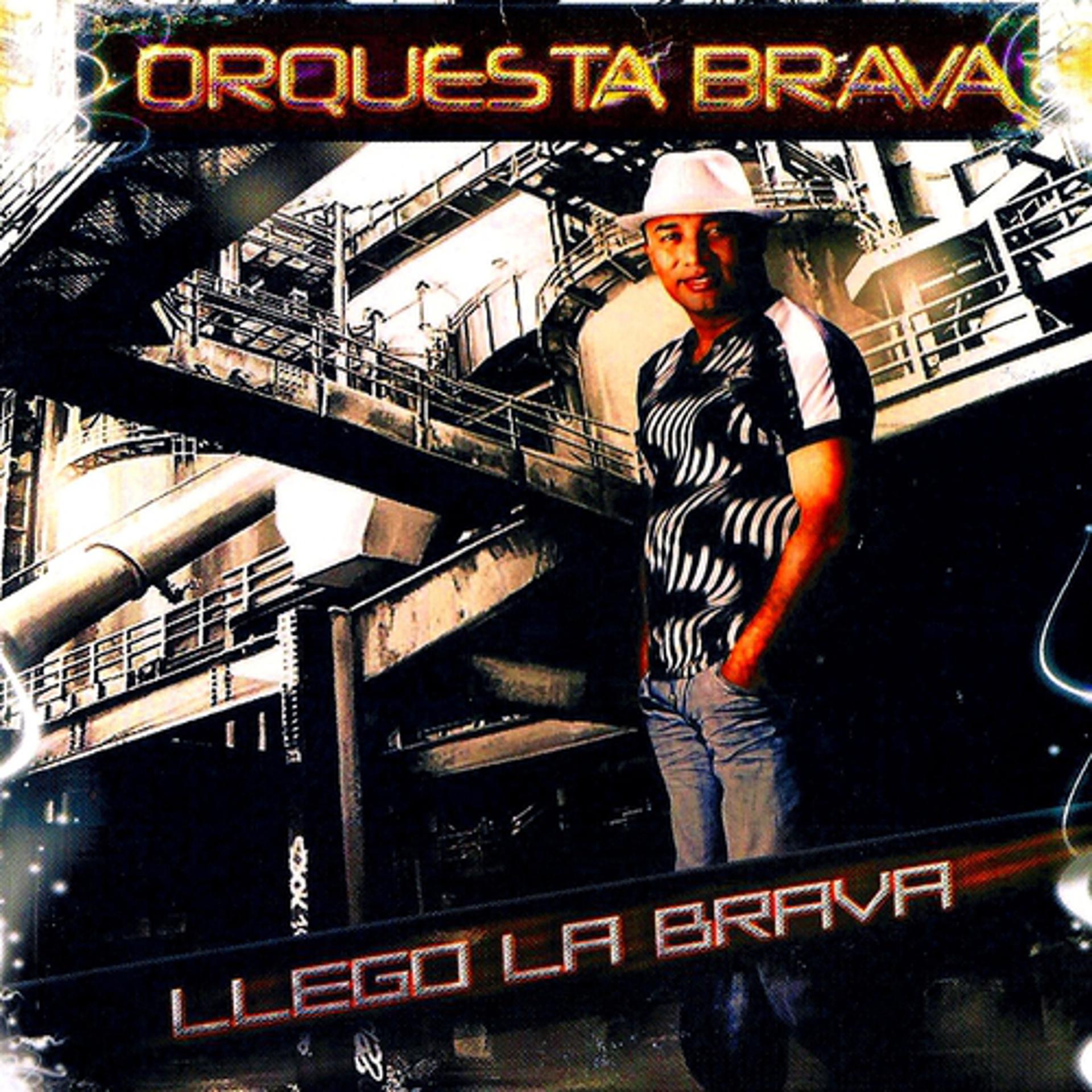 Постер альбома Llego la Brava