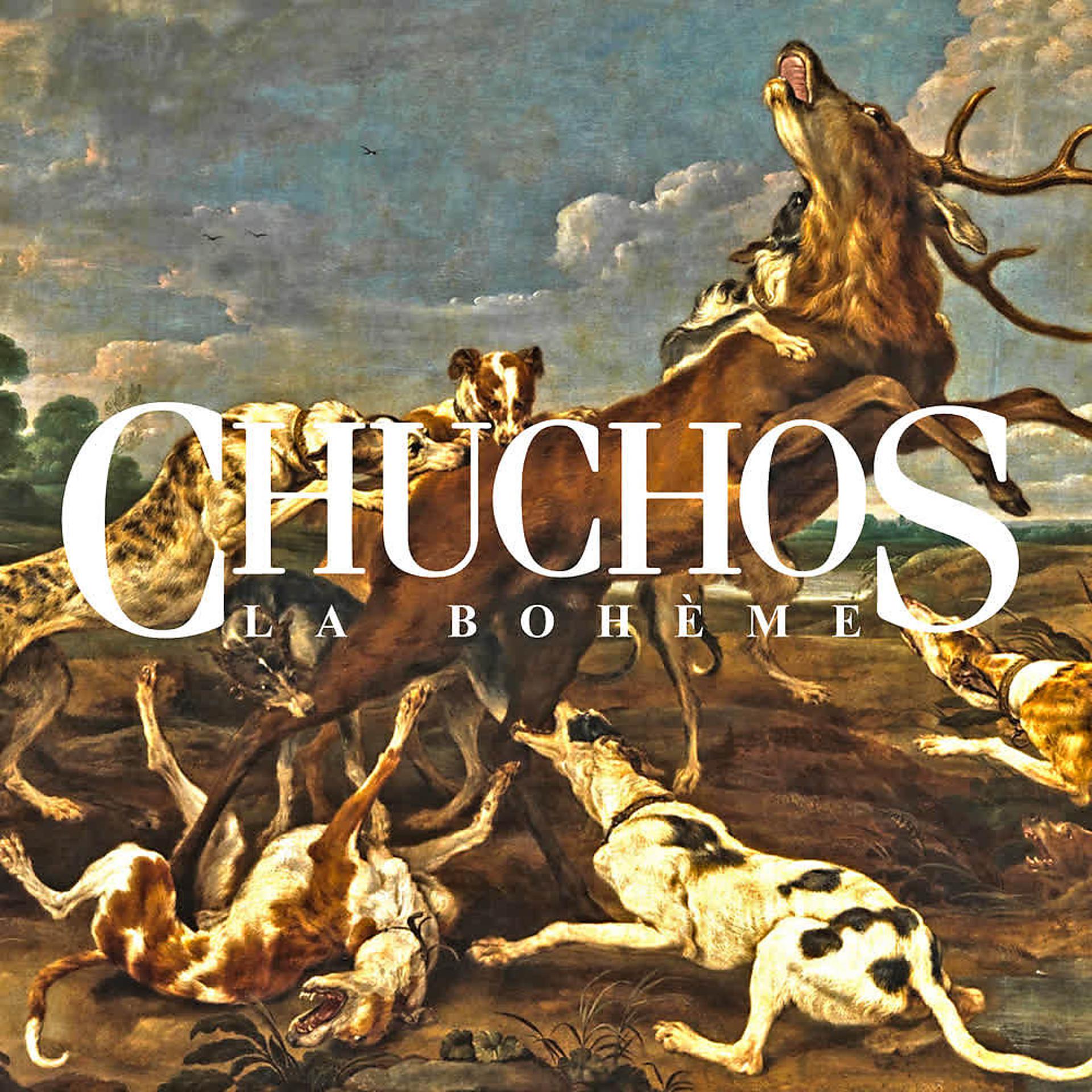 Постер альбома Chuchos