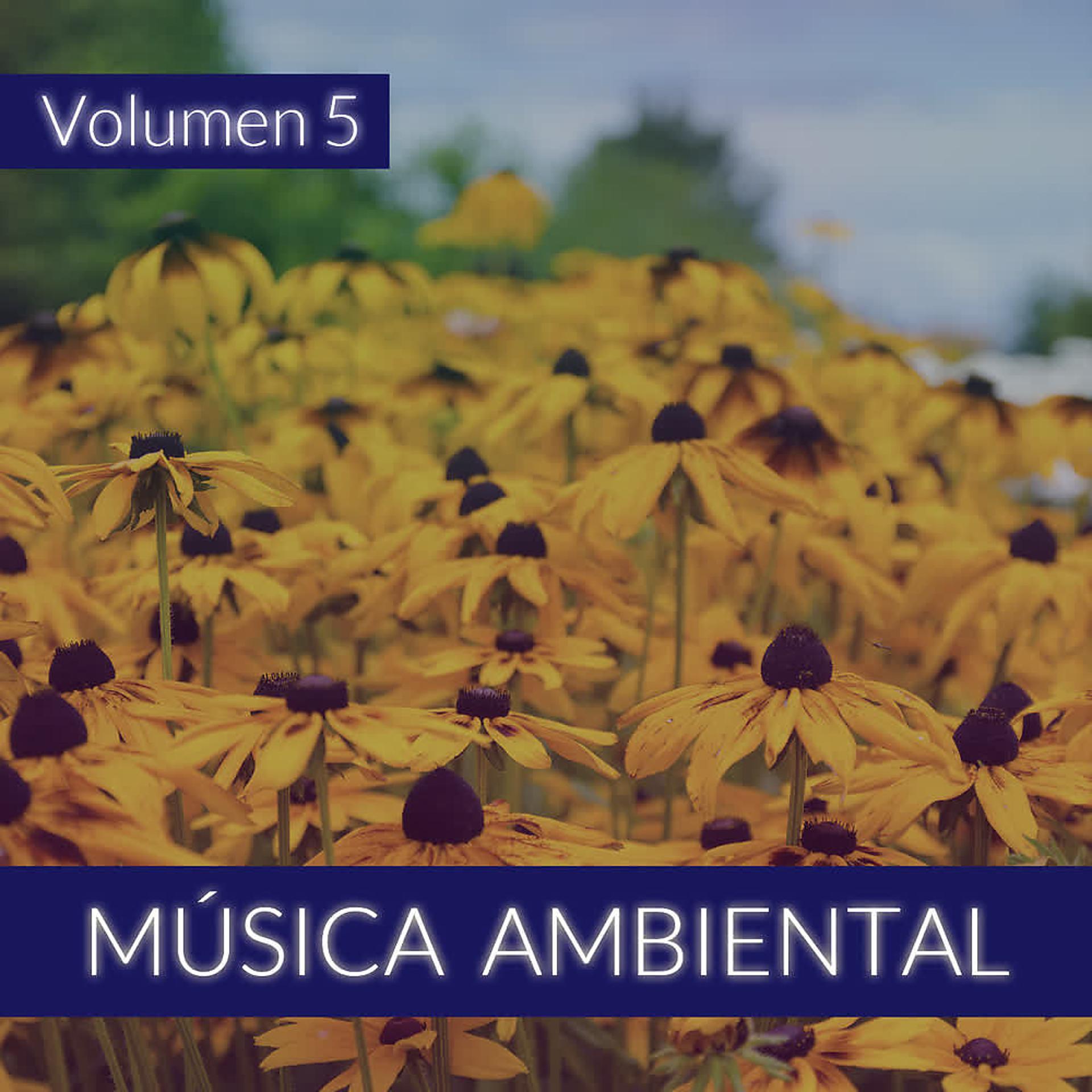Постер альбома Música Ambiental (Volumen 5)