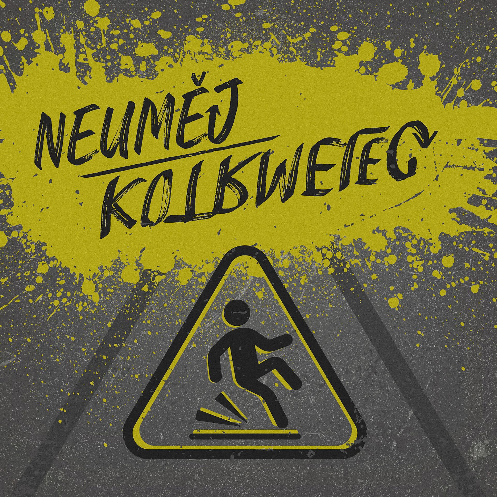 Постер альбома Neuměj kotrmelec