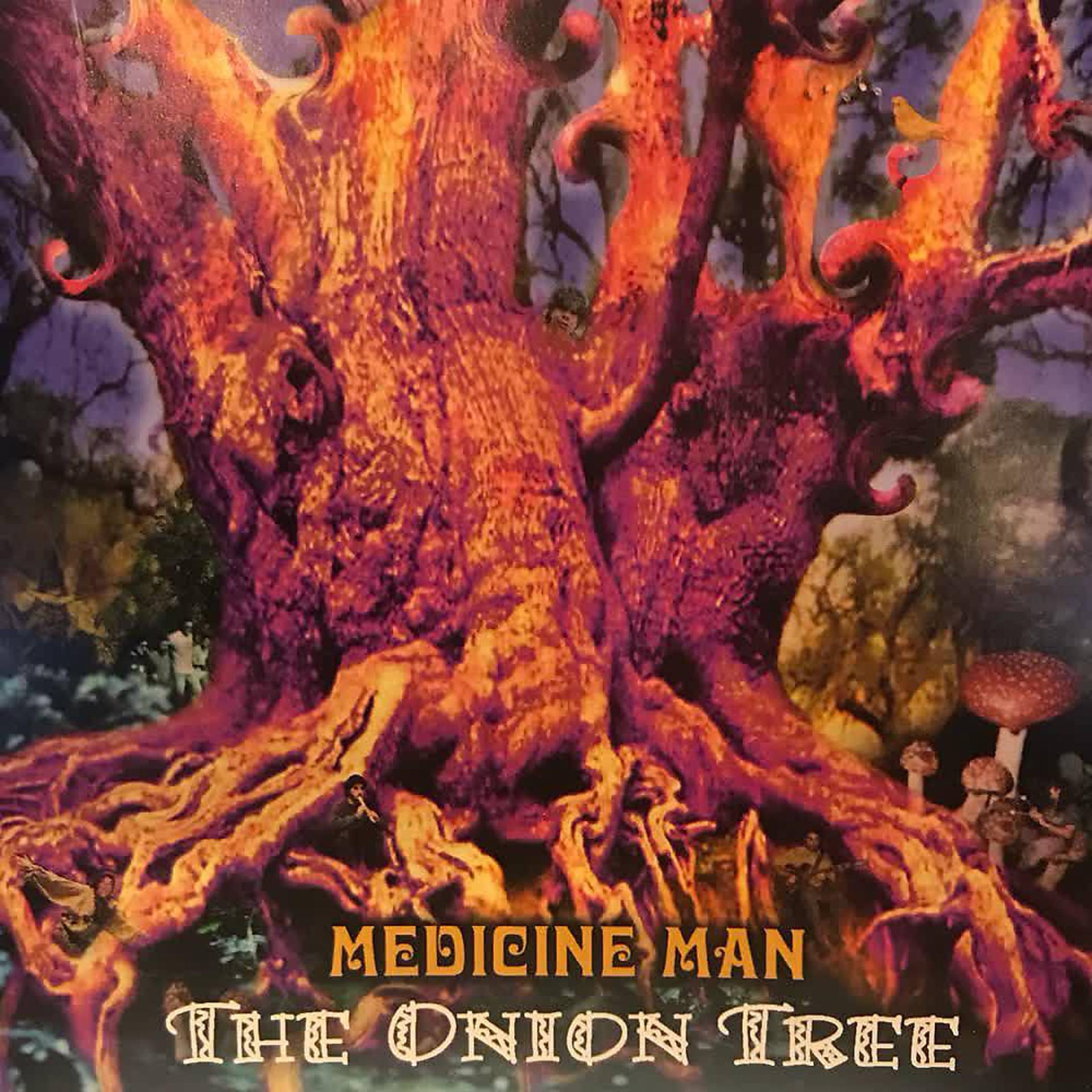 Постер альбома The Onion Tree
