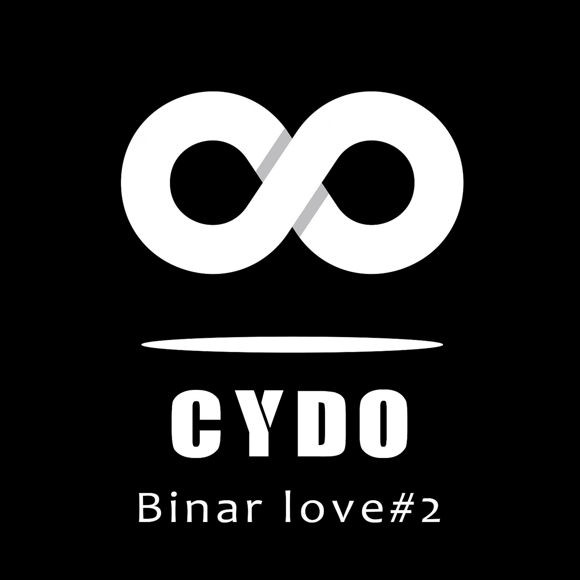 Постер альбома Binar Love #2