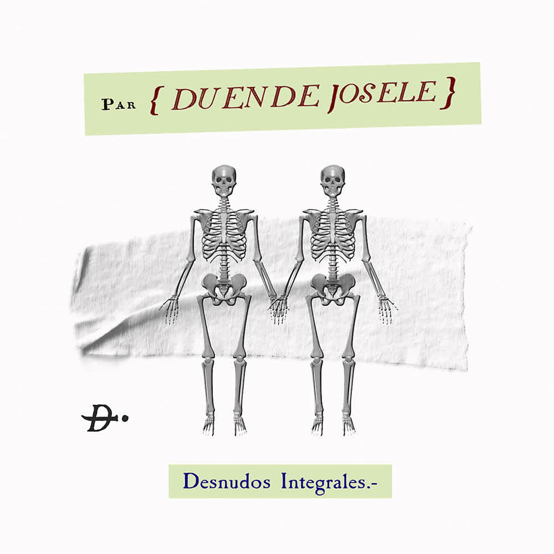 Постер альбома Desnudos Integrales