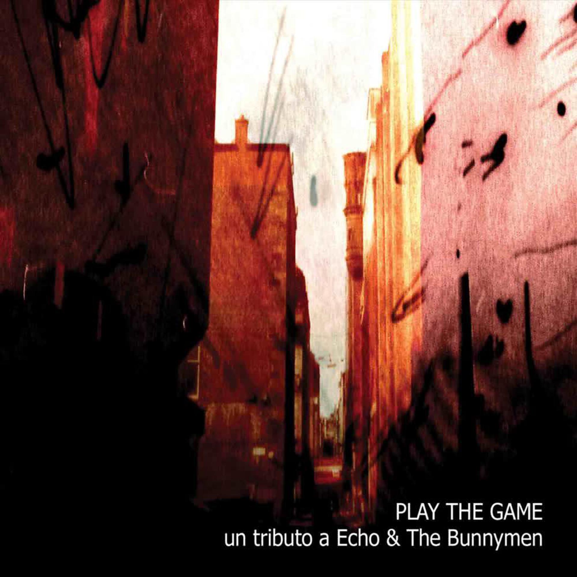 Постер альбома Play the Game: Un Tributo a Echo & the Bunnymen