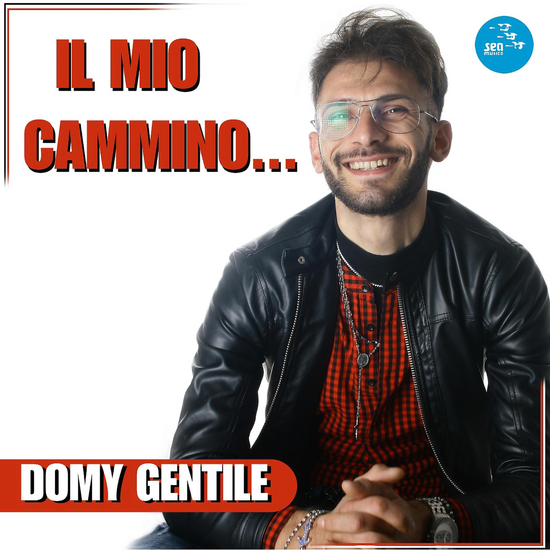 Постер альбома Il mio cammino