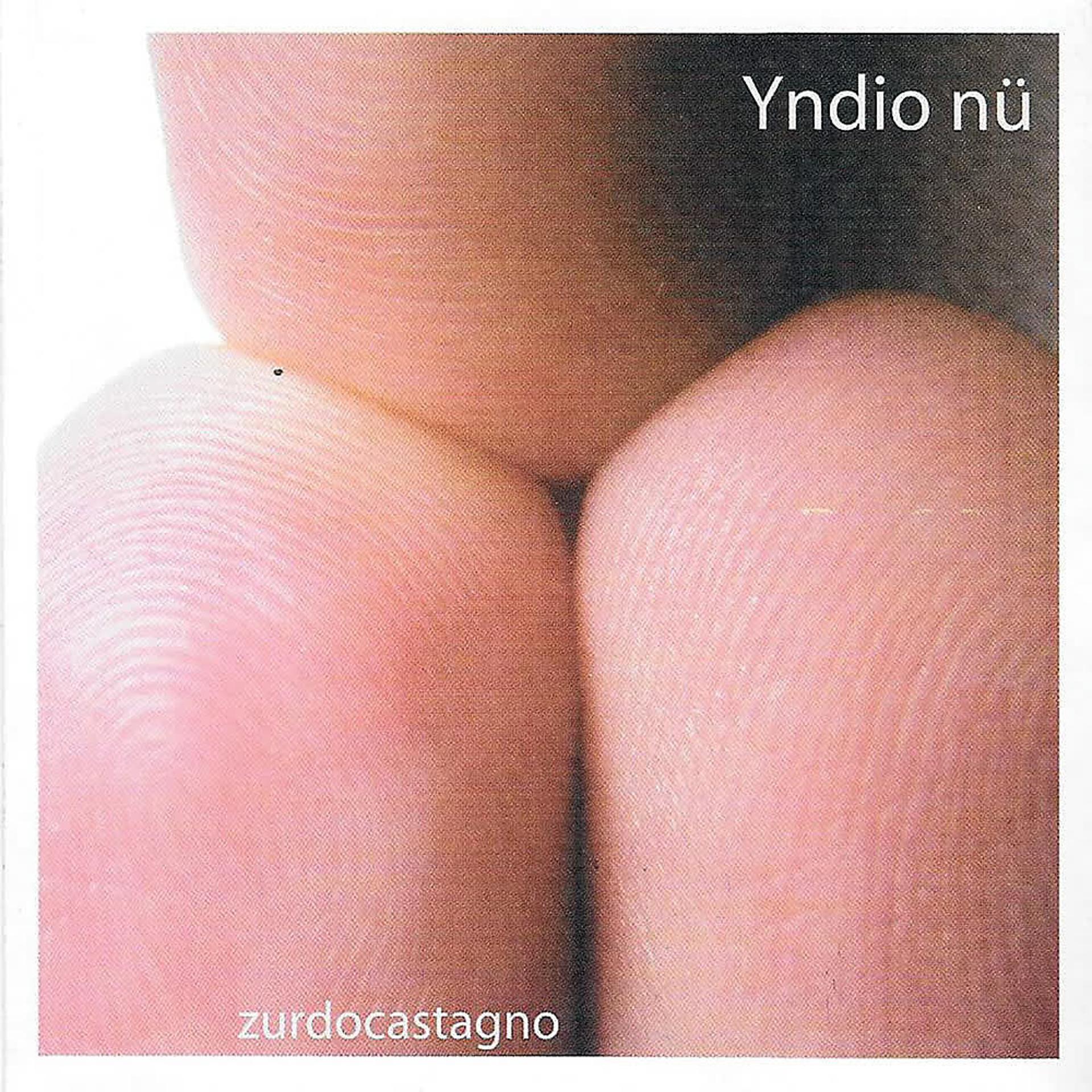 Постер альбома Yndio Nü
