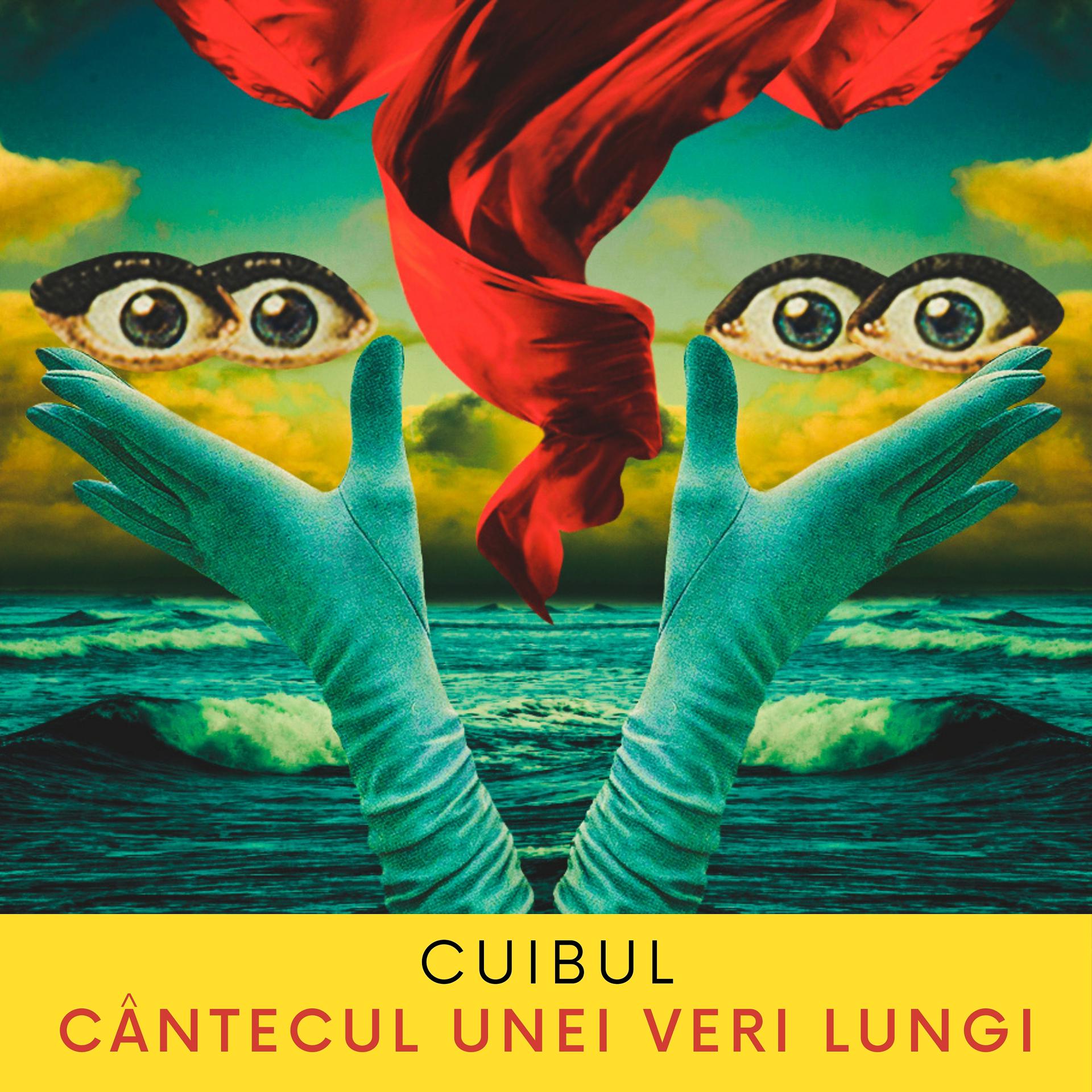 Постер альбома Cântecul Unei Veri Lungi