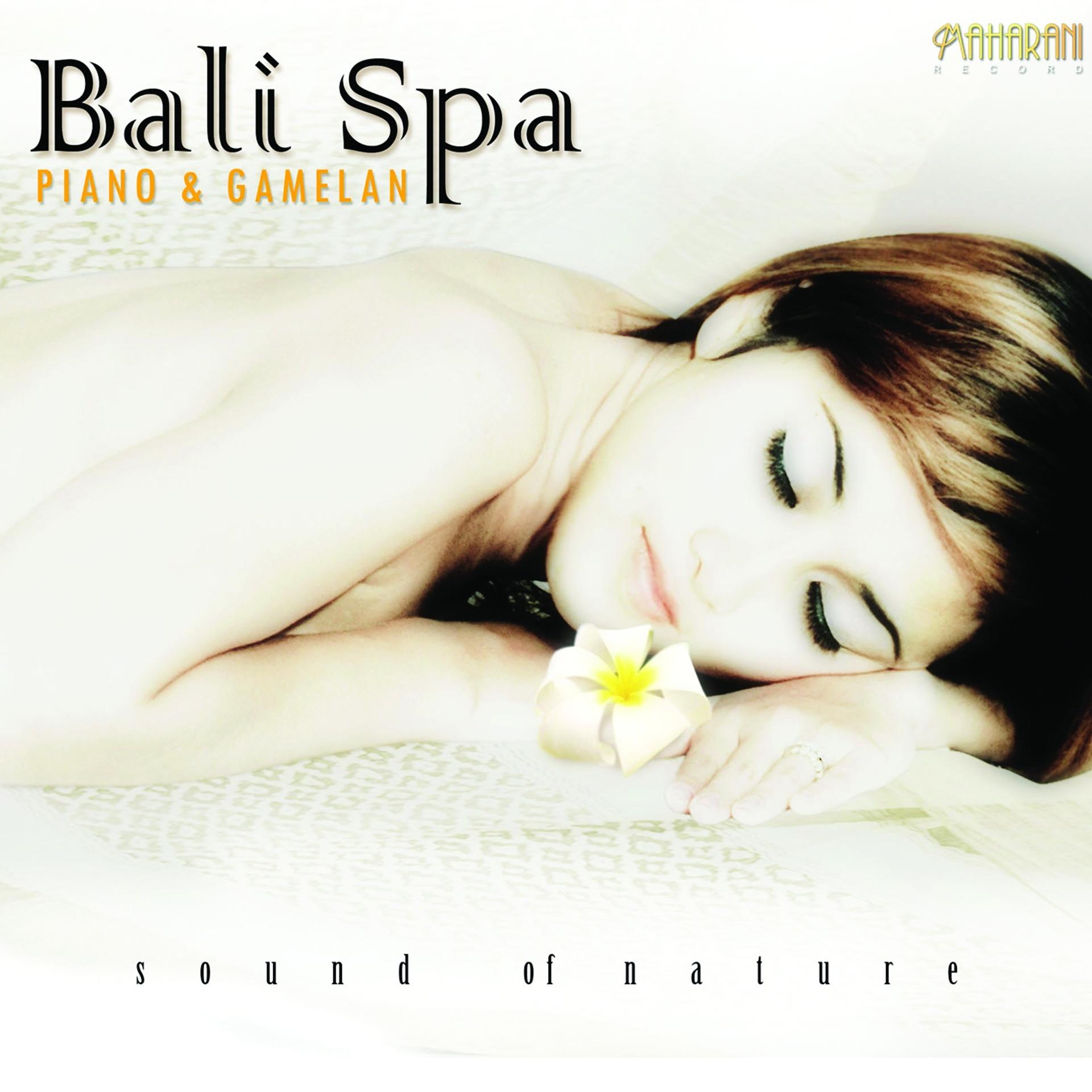 Постер альбома Bali Spa