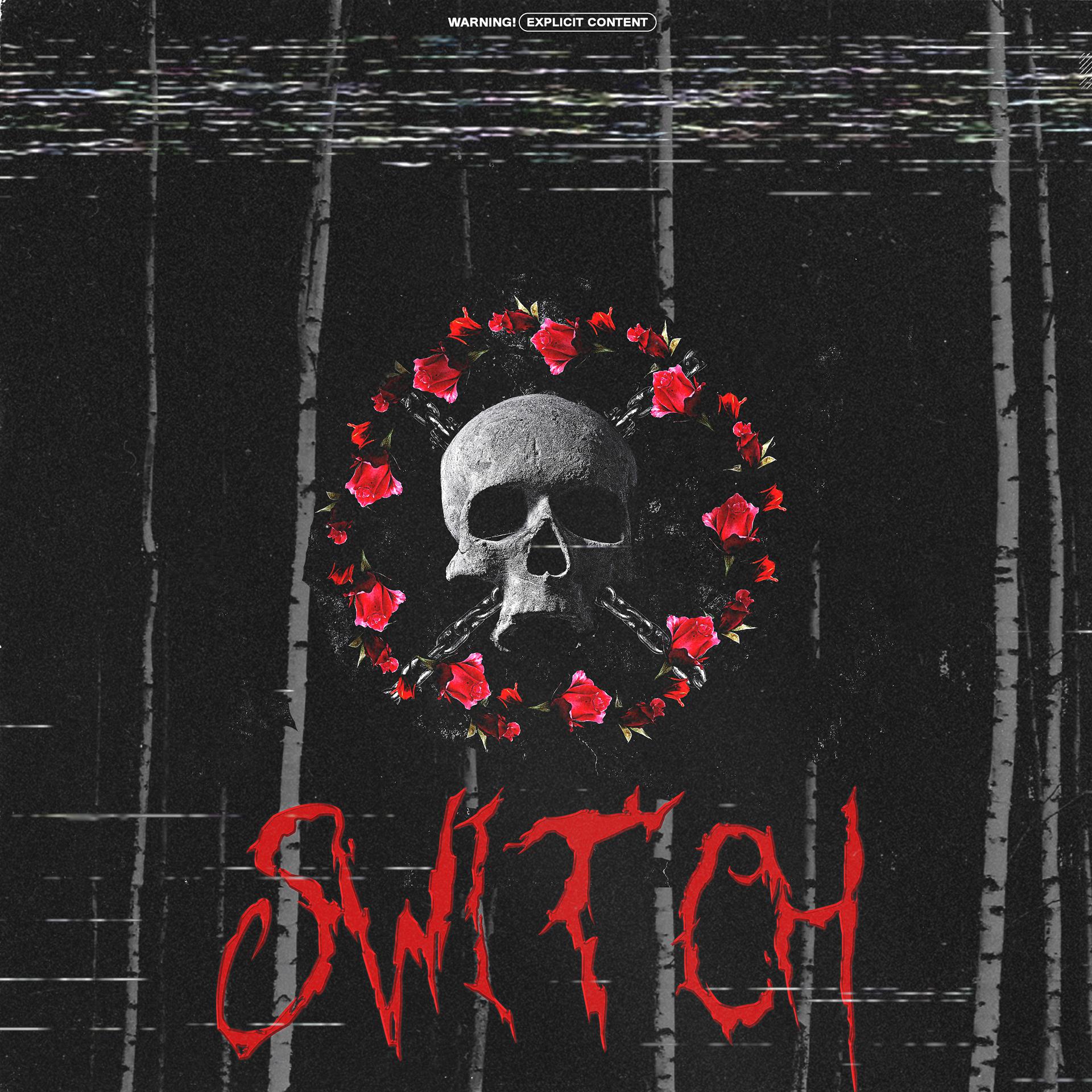 Постер альбома Switch