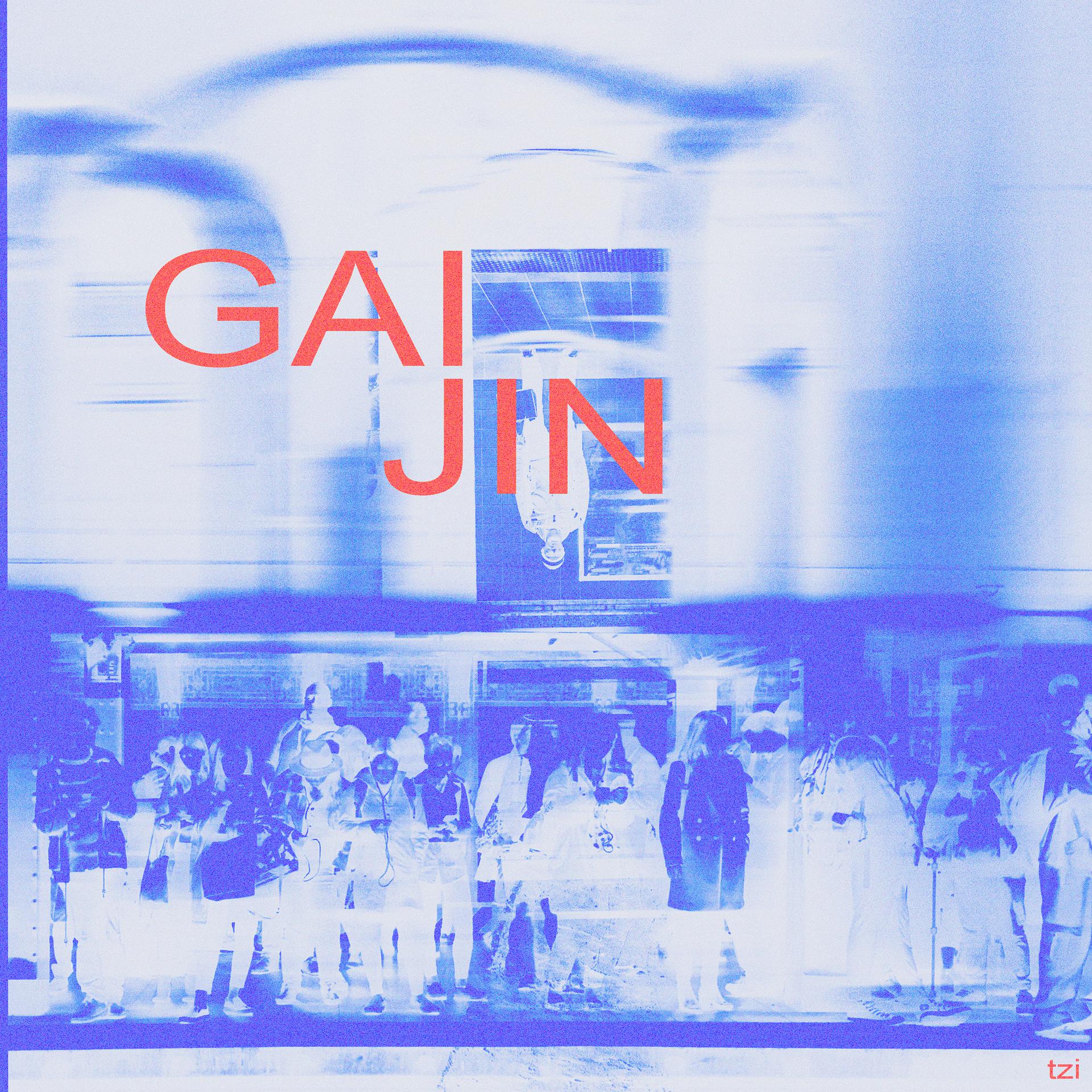 Постер альбома Gaijin