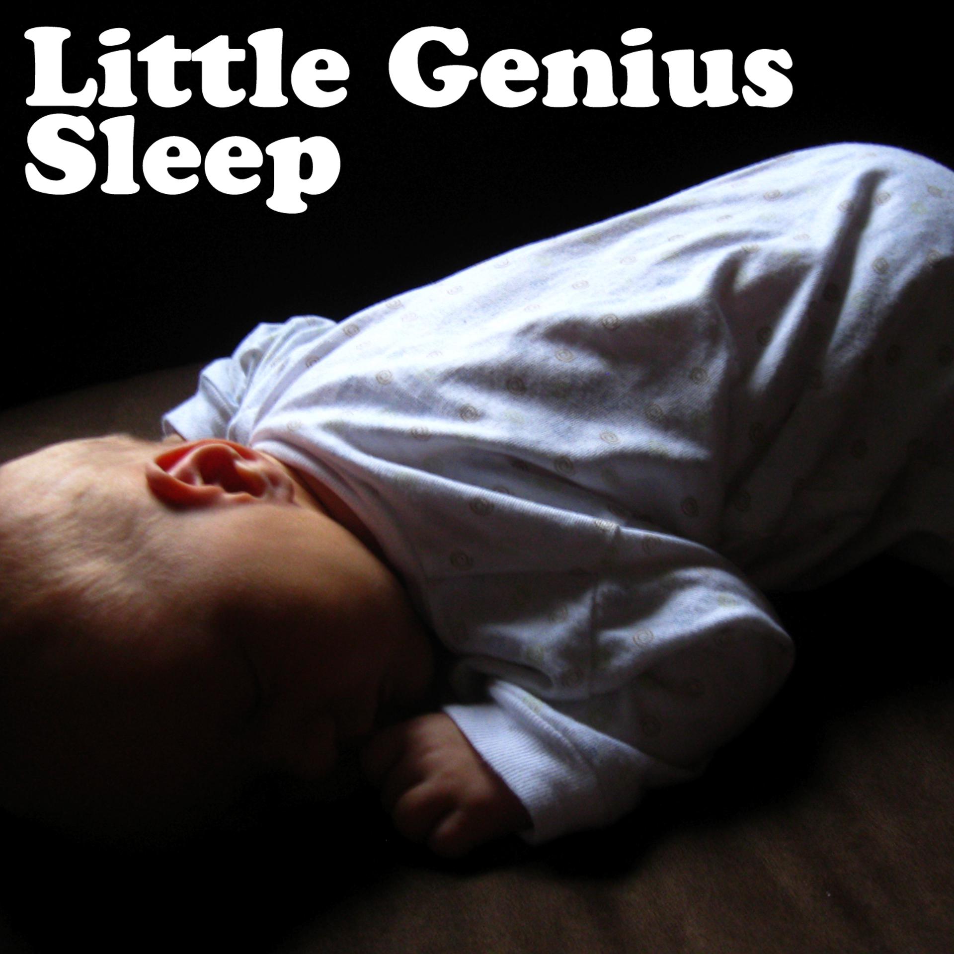 Постер альбома Little Genius - Sleep