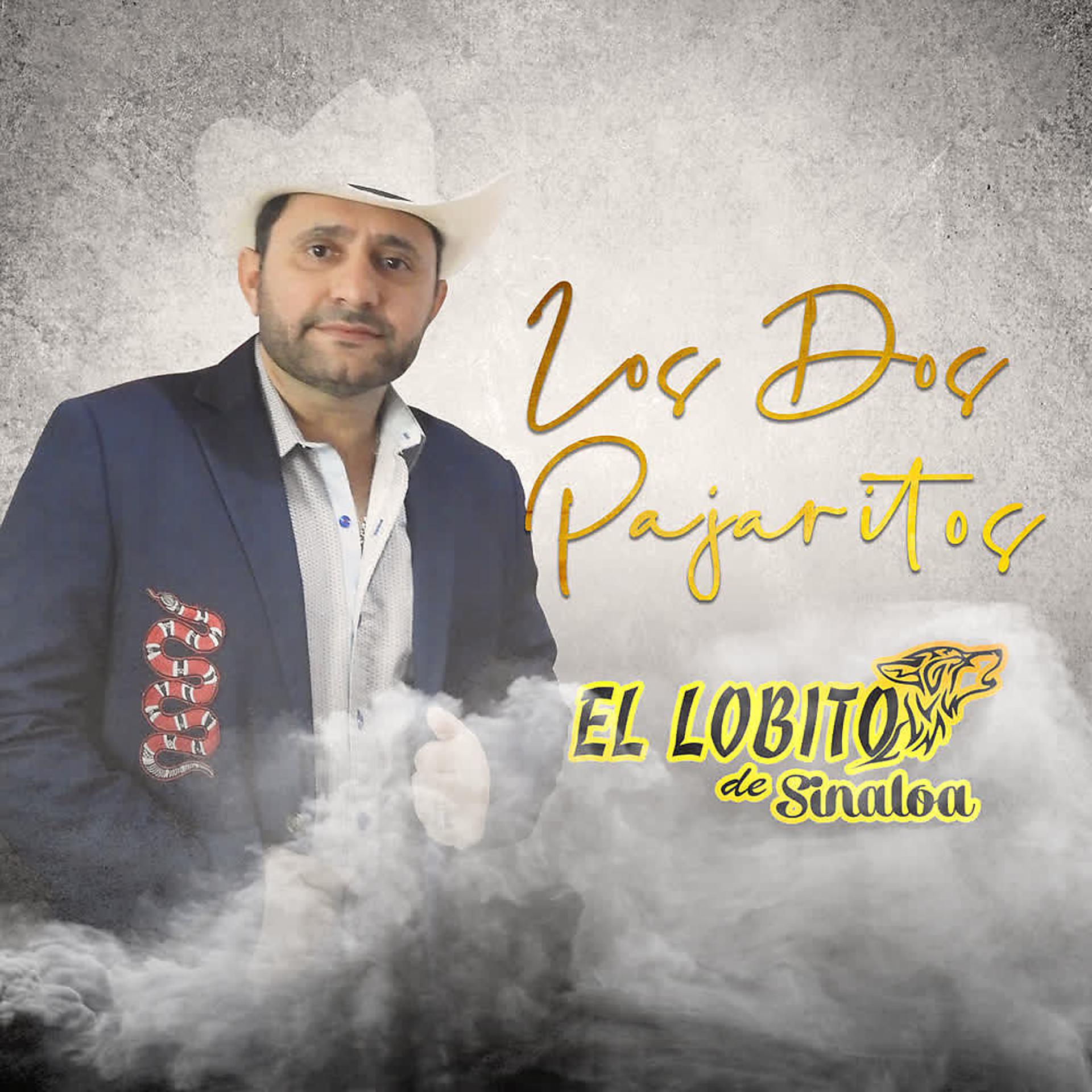 Постер альбома Los Dos Pajaritos