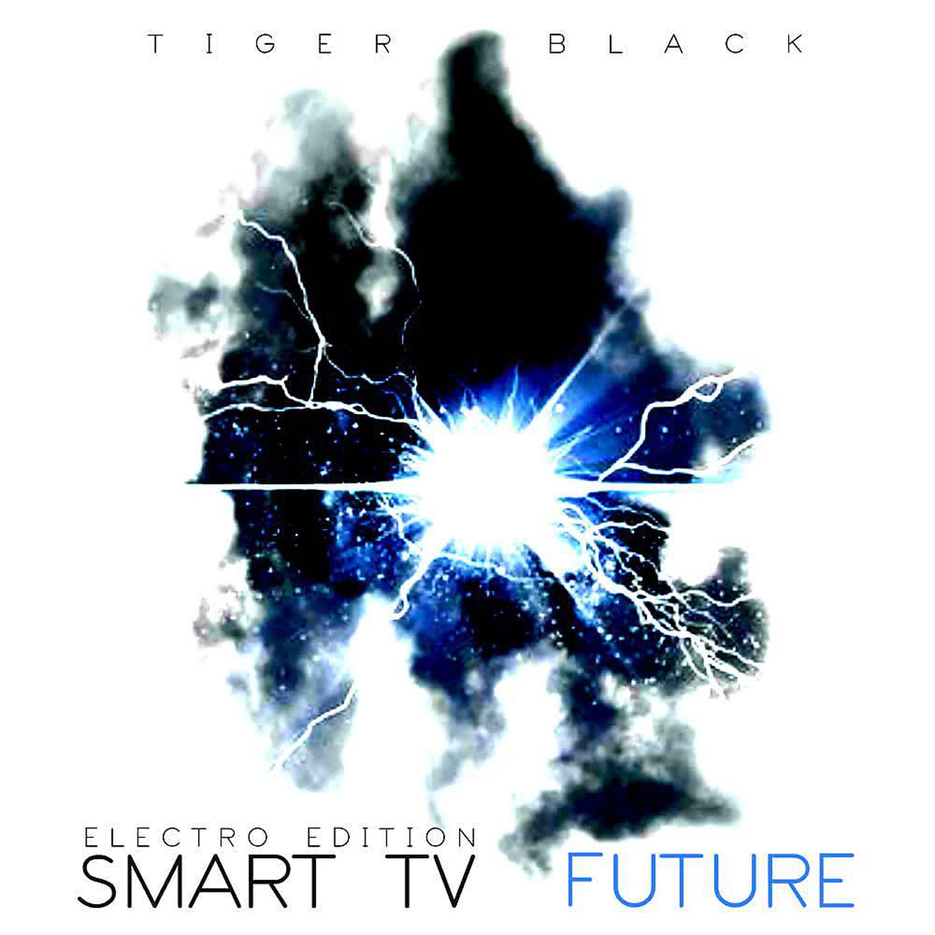 Постер альбома Future (Electro Edition)