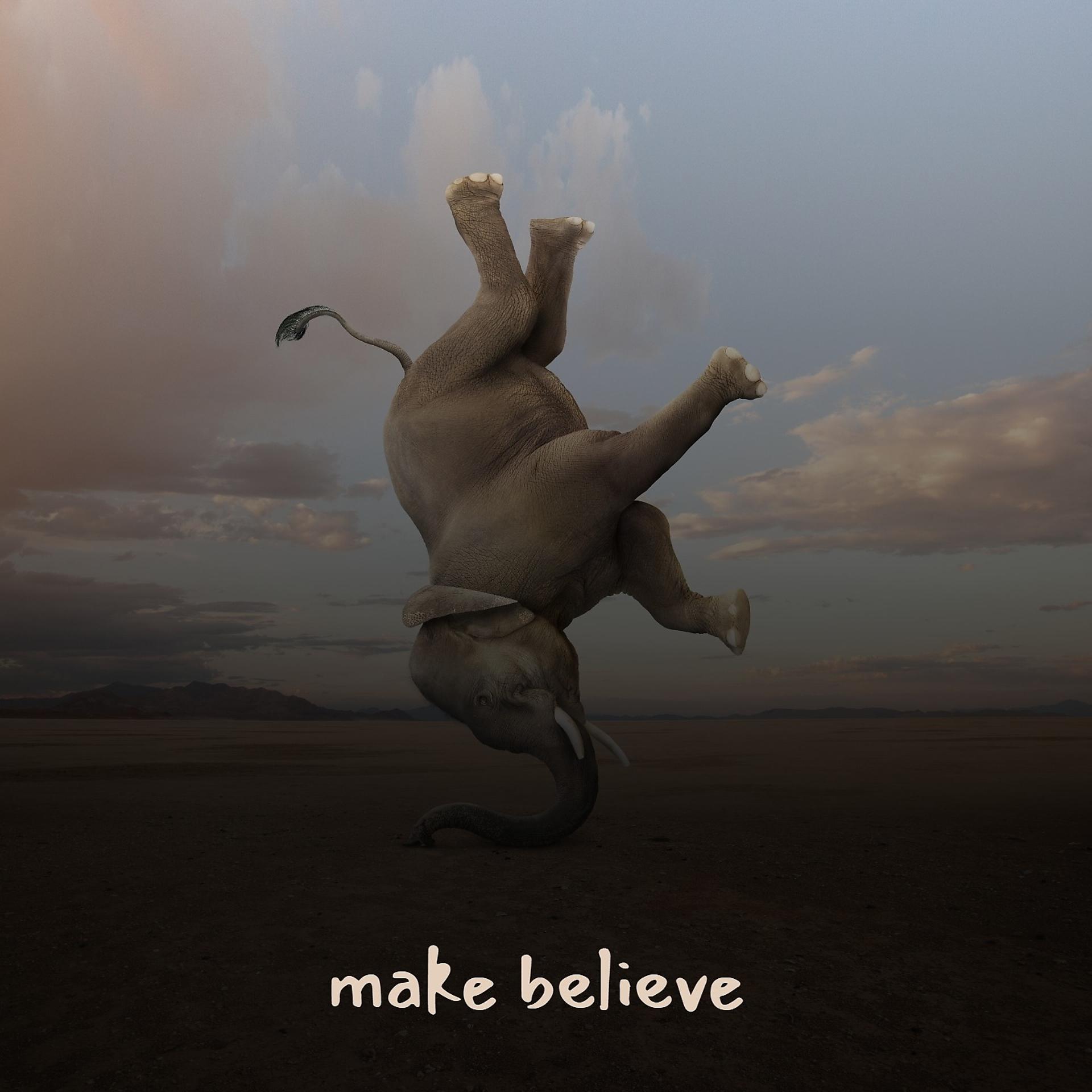 Постер альбома Make Believe