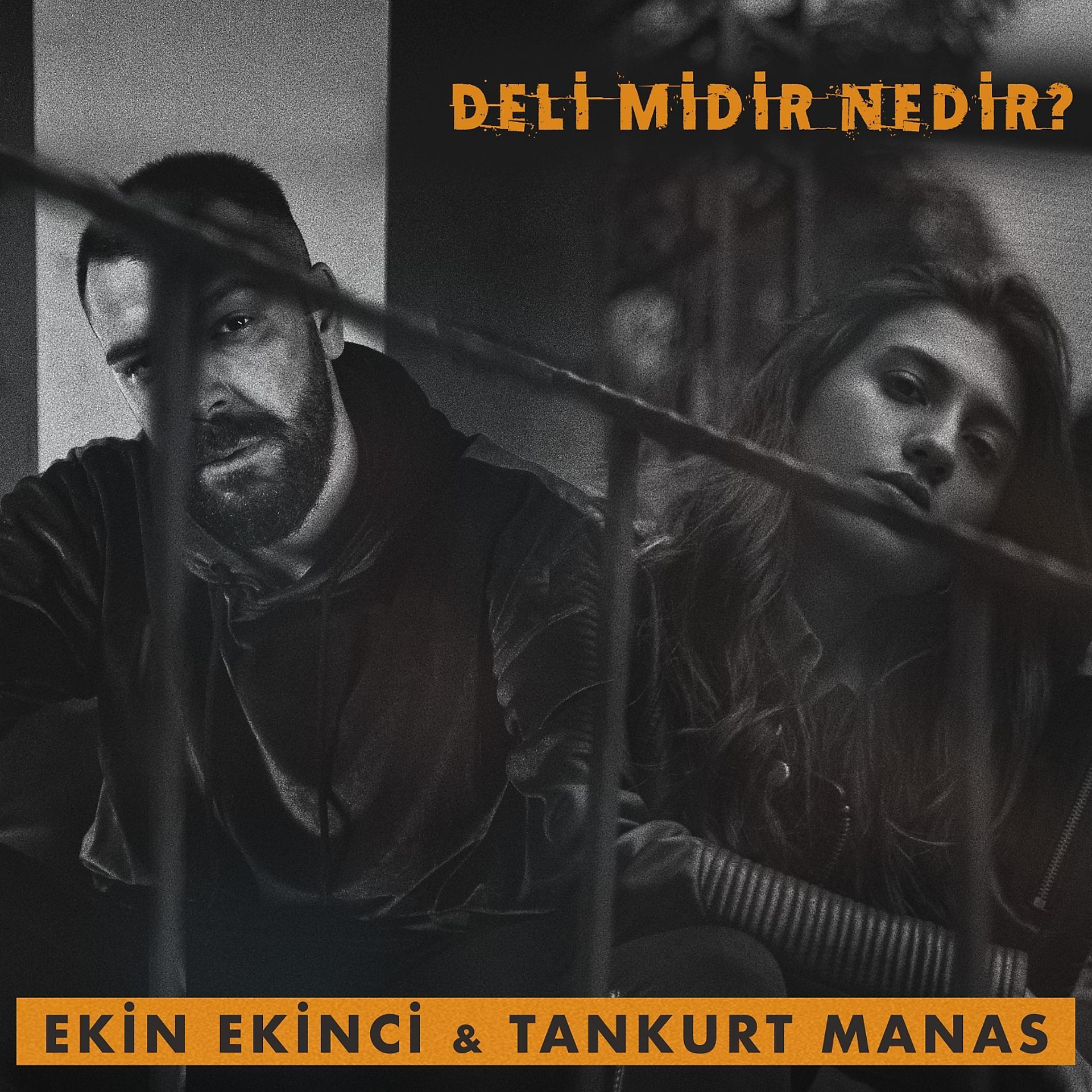 Постер альбома Deli midir Nedir?