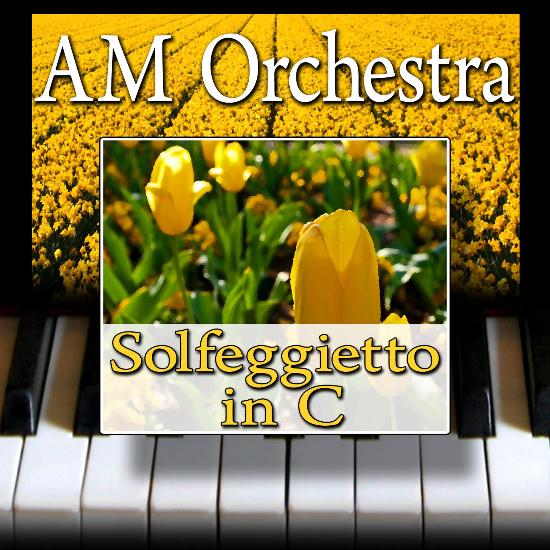 Постер альбома Solfeggietto in C