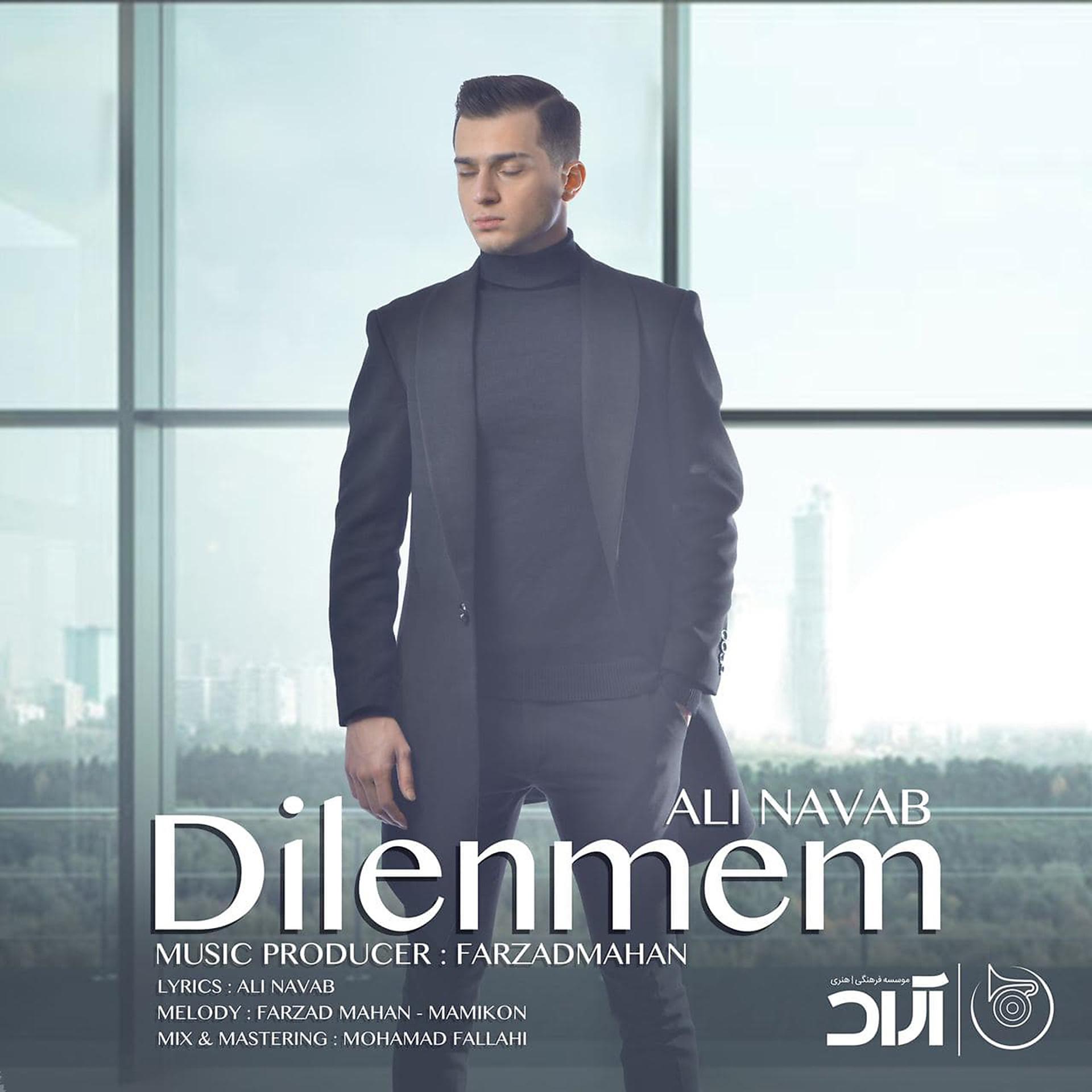 Постер альбома Dilenmem