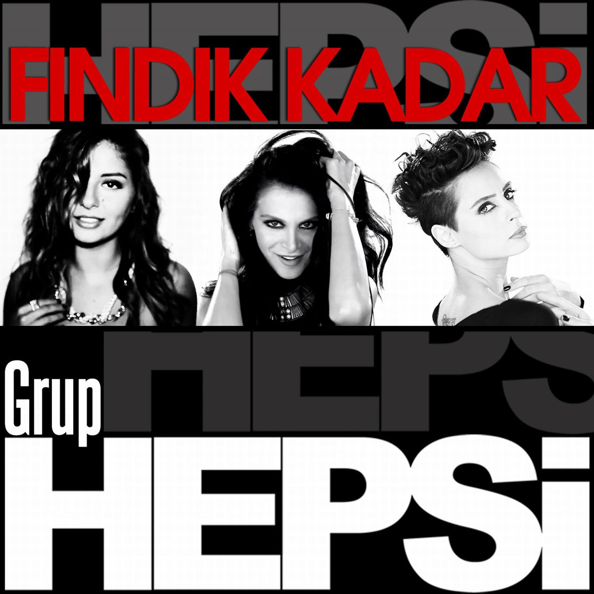 Постер альбома Fındık Kadar