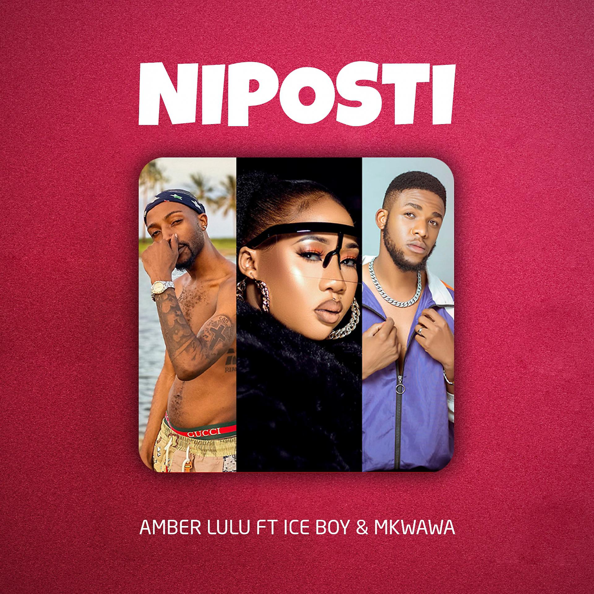 Постер альбома Niposti