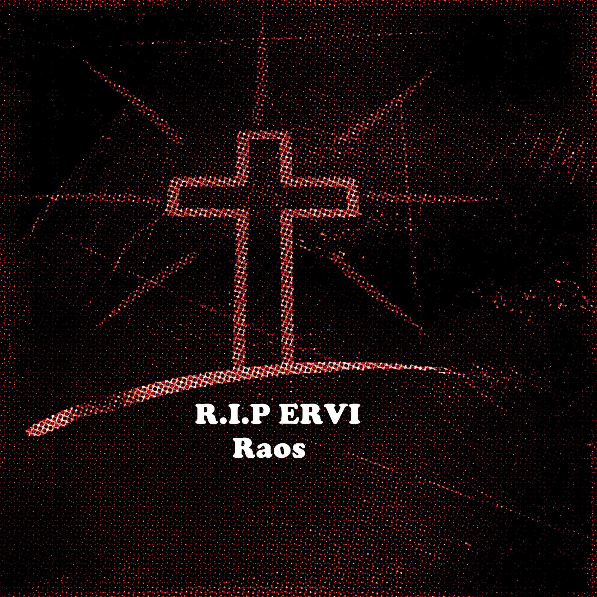 Постер альбома R.I.P ERVI
