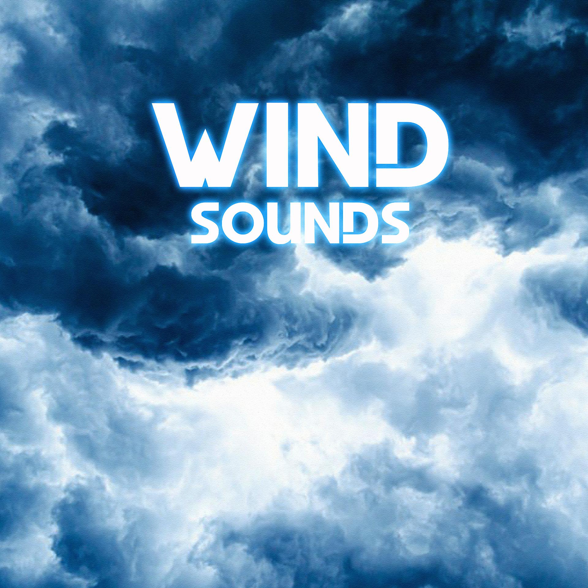 Постер альбома Wind Sounds