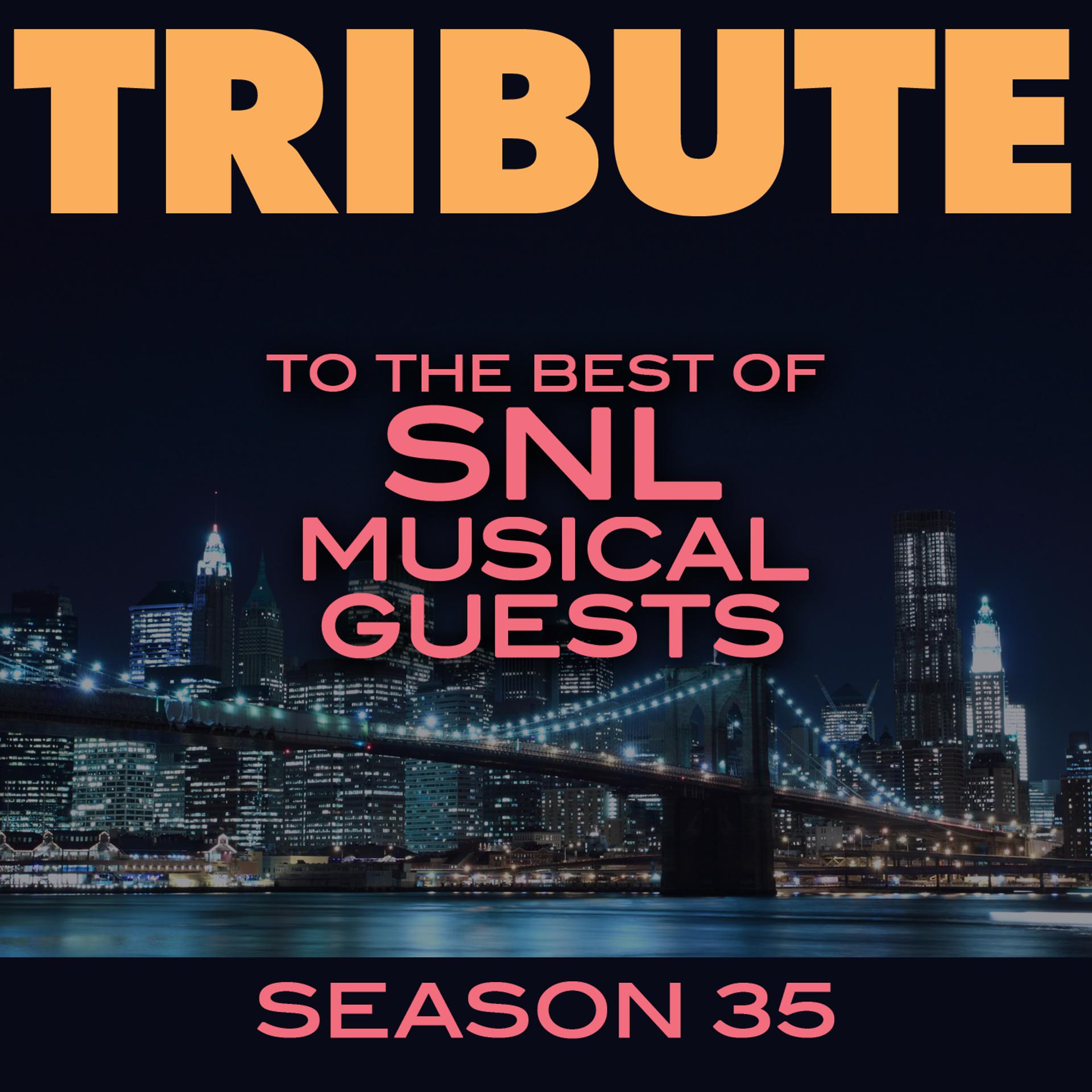 Постер альбома Tribute to the Best of SNL Musical Guests Season 35