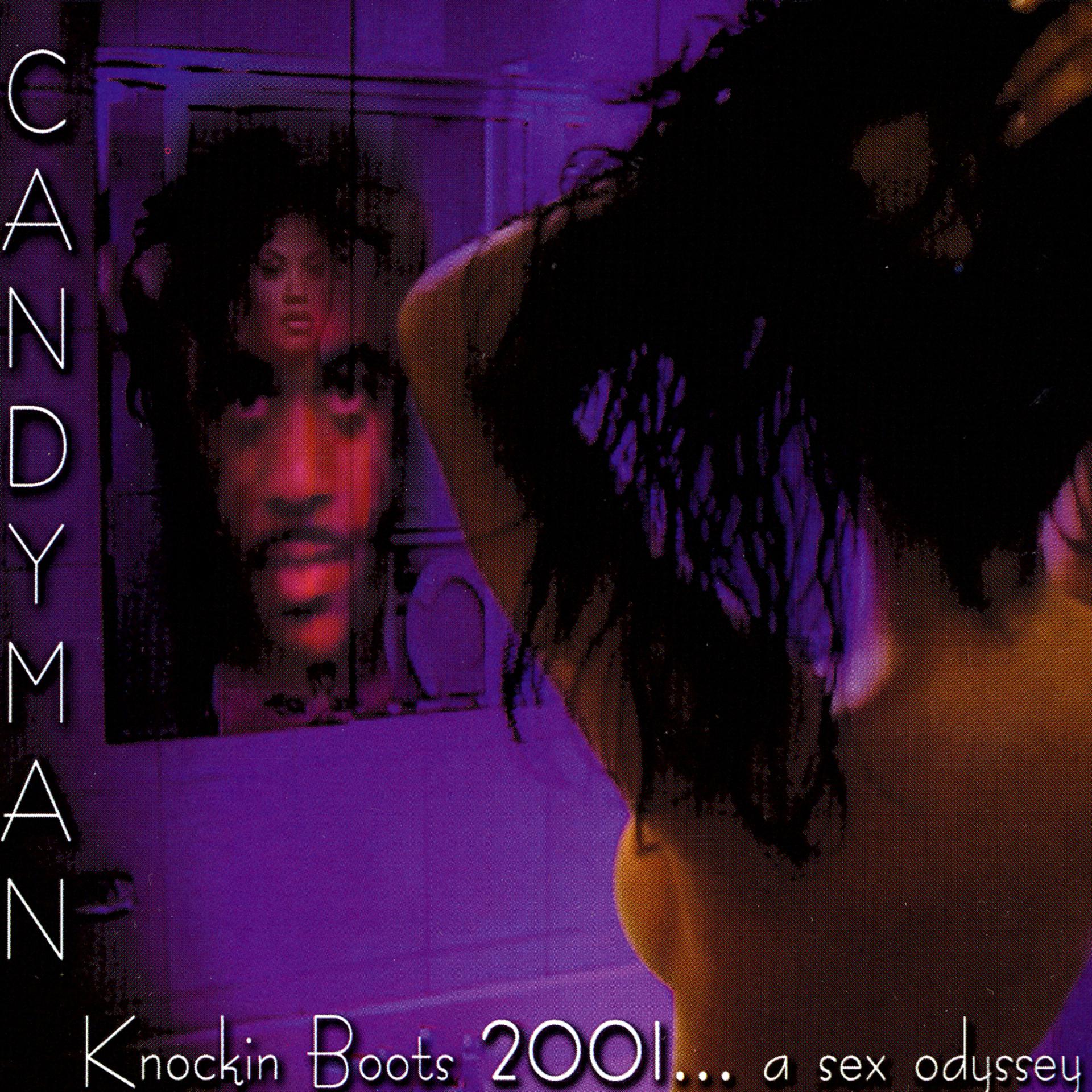 Постер альбома Knockin Boots 2001… A Sex Odyssey