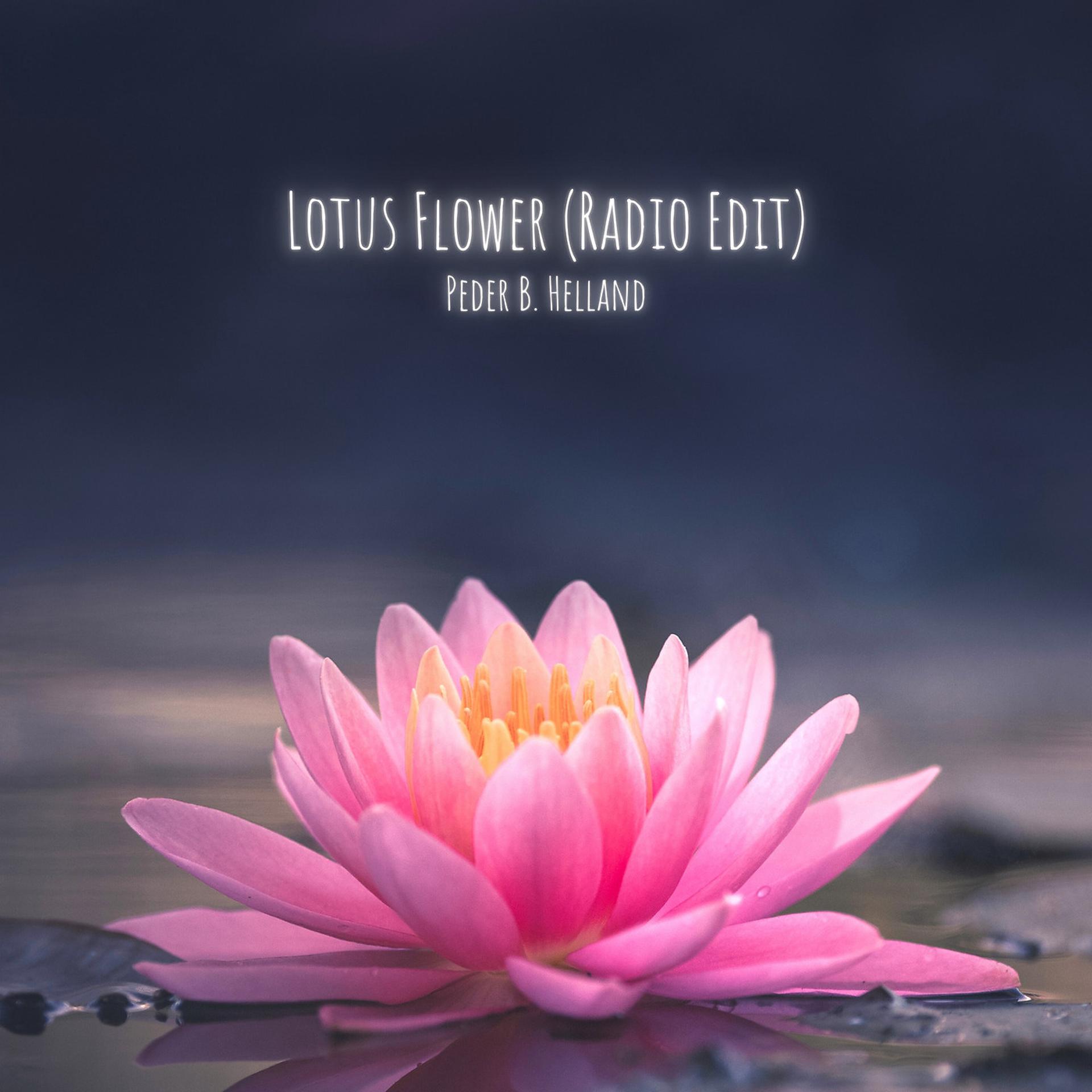 Постер альбома Lotus Flower (Radio Edit)
