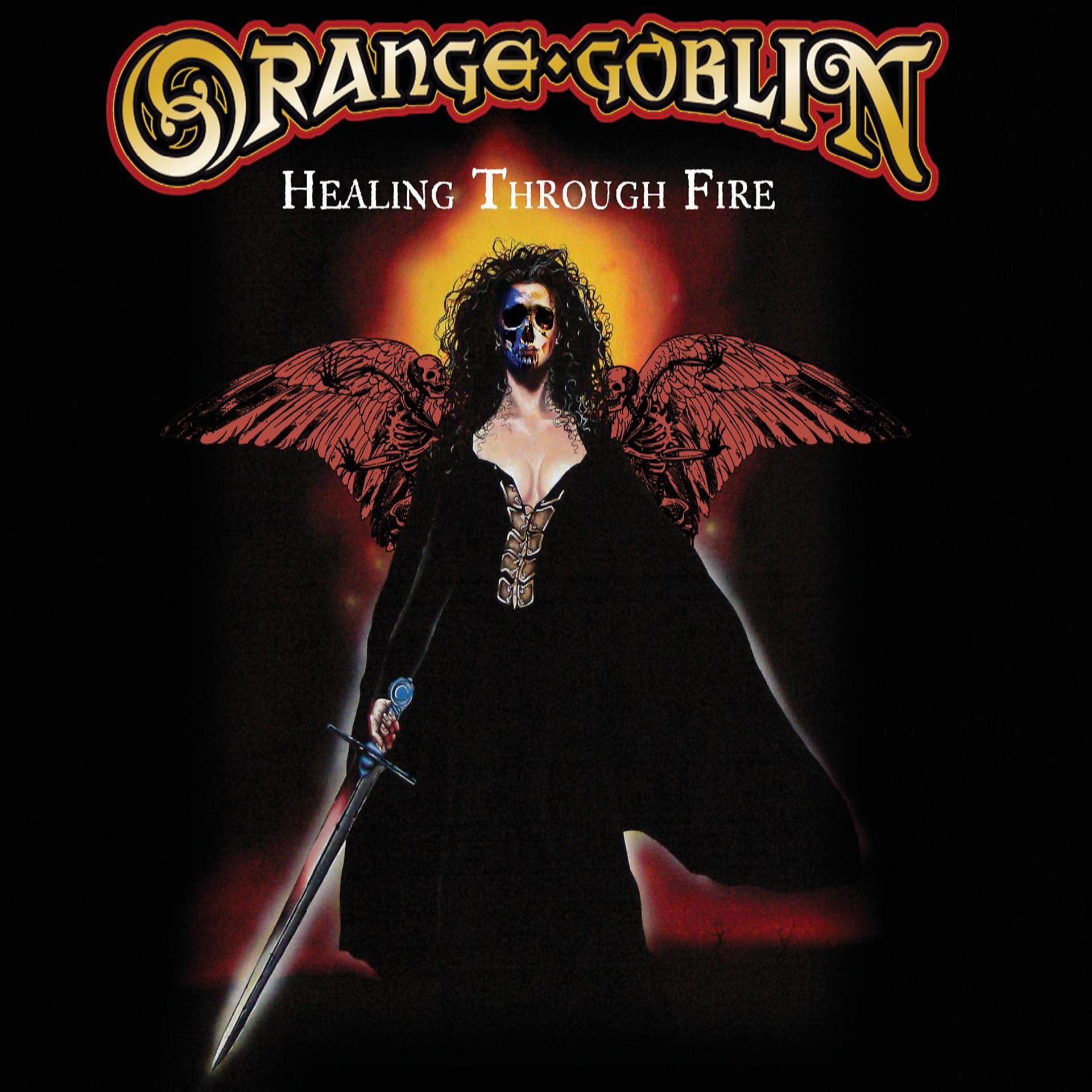 Постер альбома Healing Through Fire (Deluxe Edition)