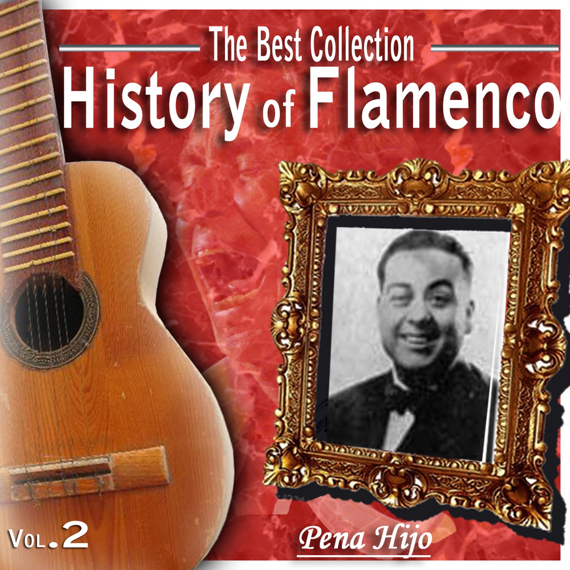 Постер альбома The Best Collection - History of Flamenco Vol. 2: Pena Hijo