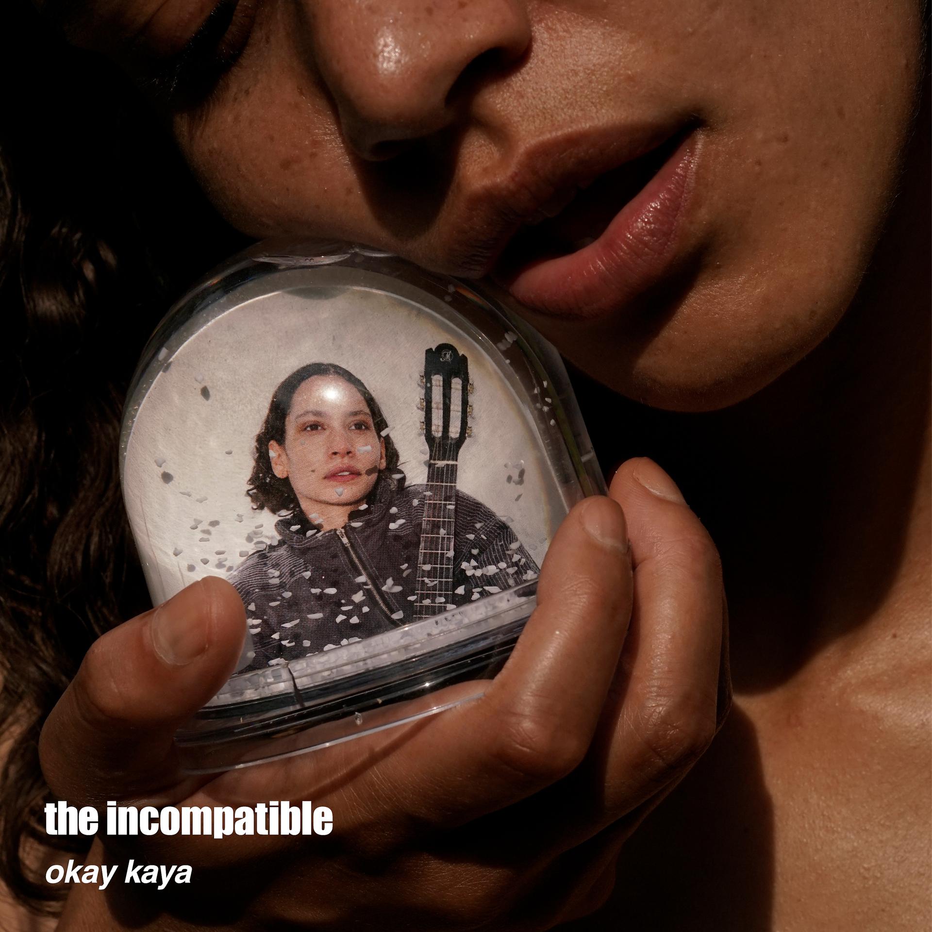 Постер альбома The Incompatible Okay Kaya