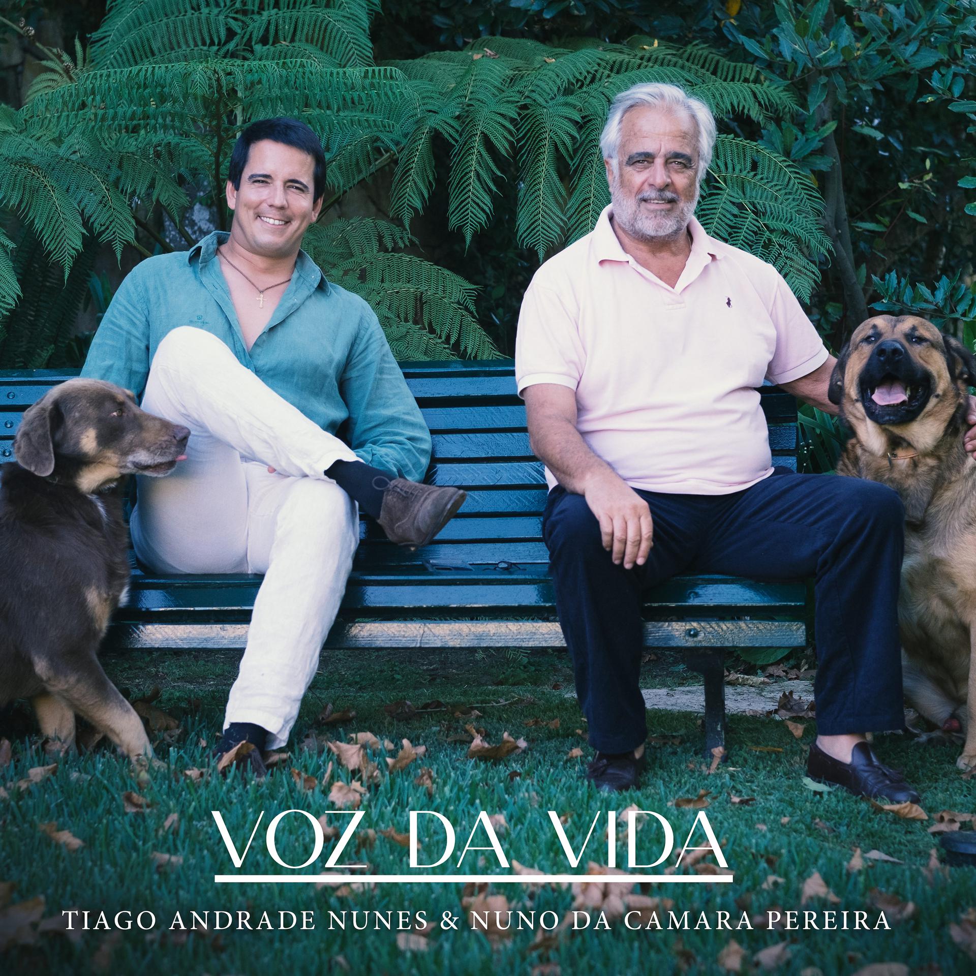 Постер альбома Voz da Vida