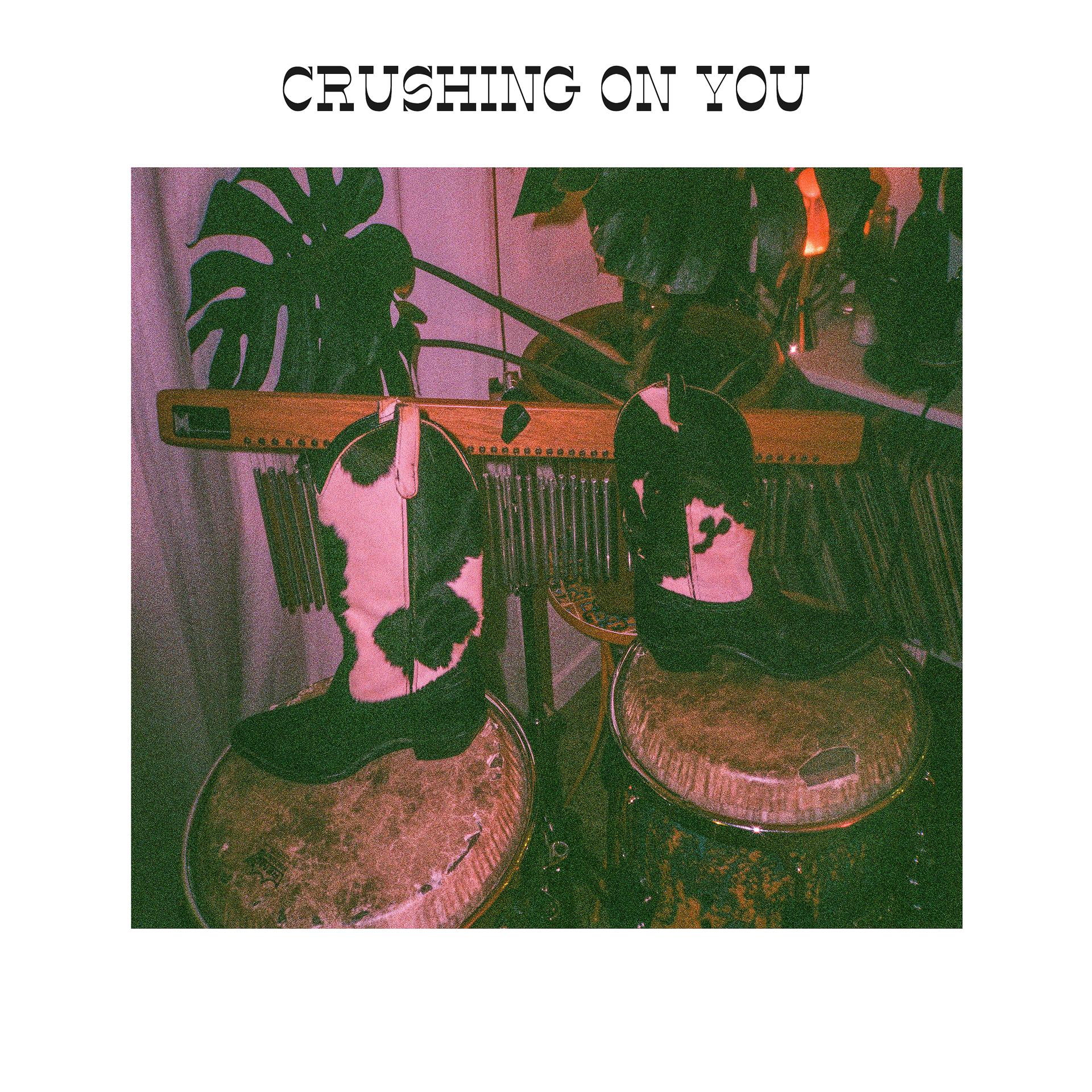 Постер альбома Crushing On You
