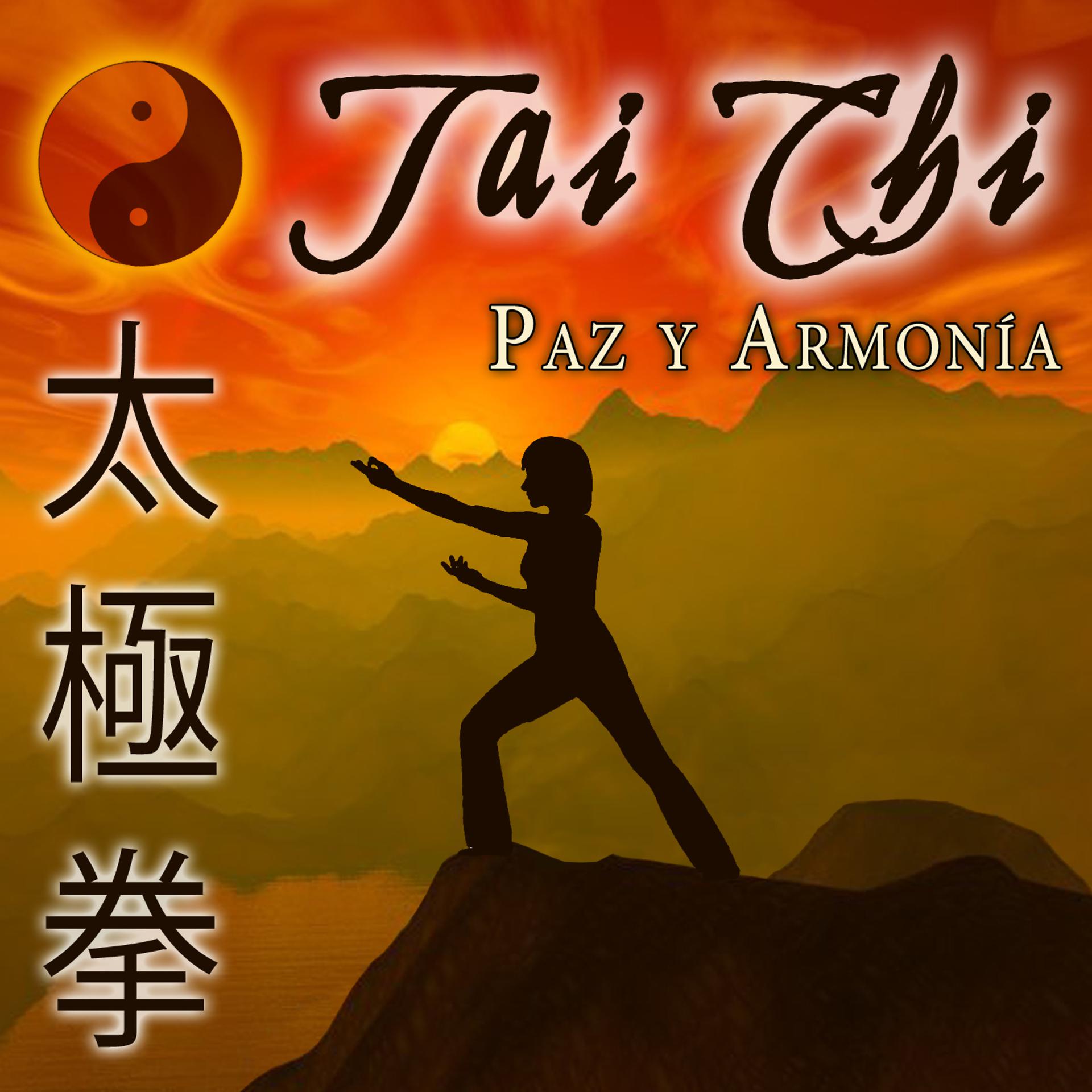 Постер альбома Tai-chi. Paz y Armonia