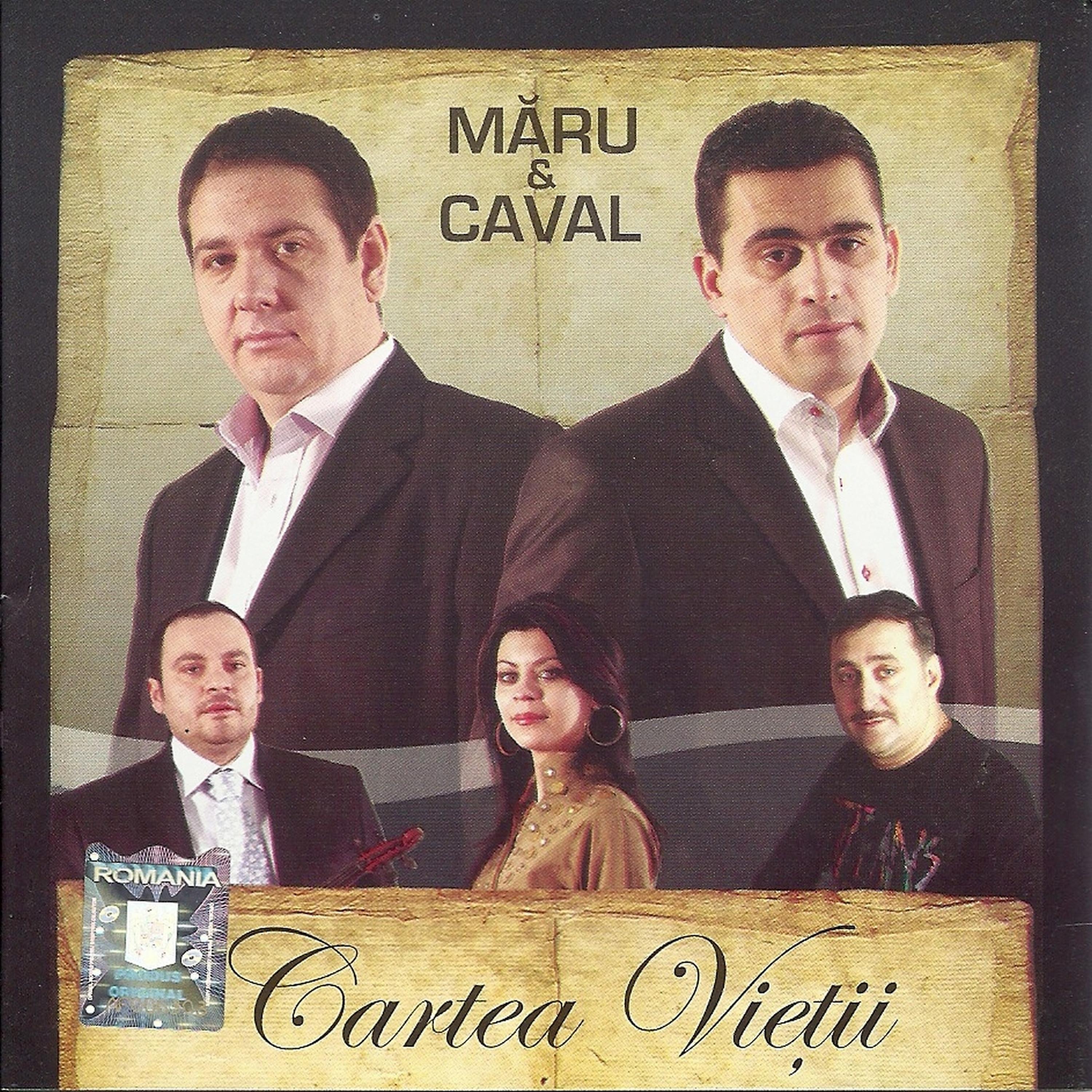 Постер альбома Cartea Vietii