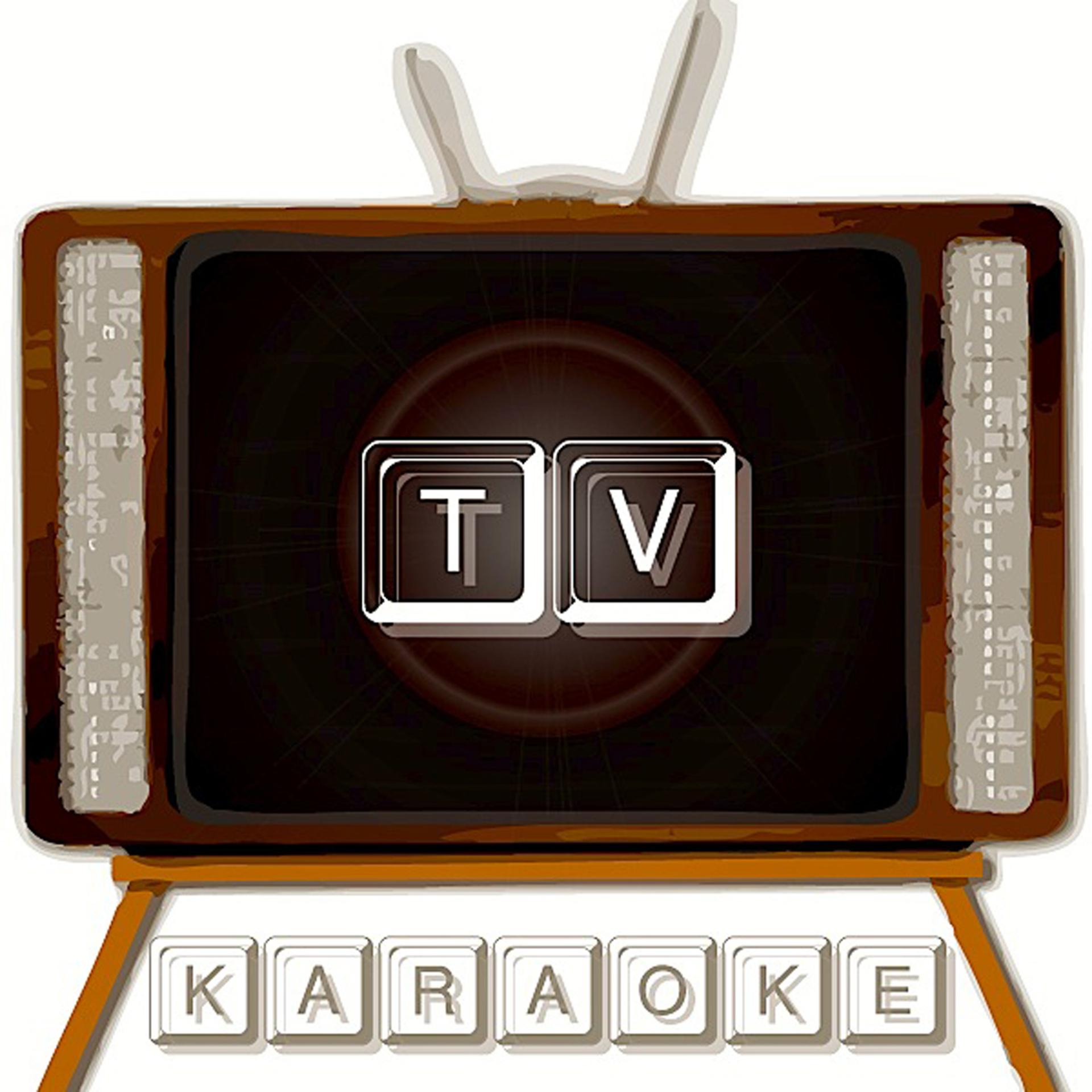 Постер альбома TV Karaoke Themes