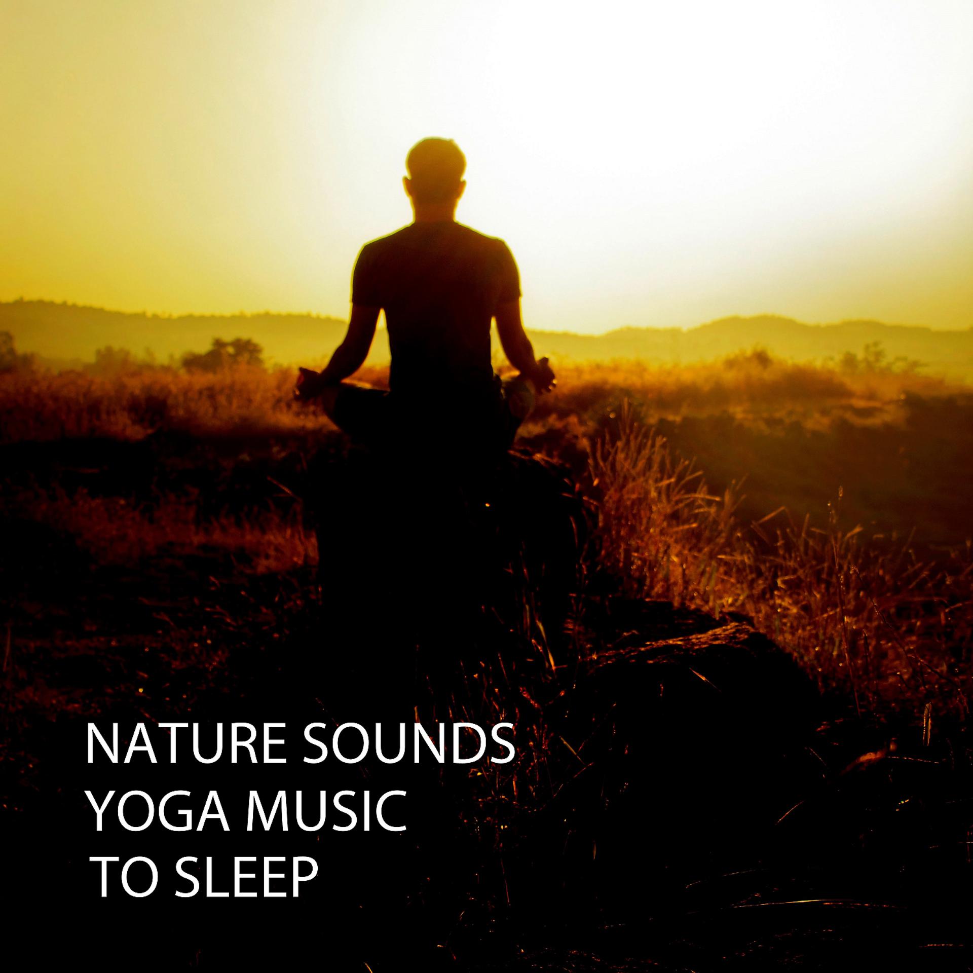 Постер альбома Nature Sounds: Yoga Music To Sleep