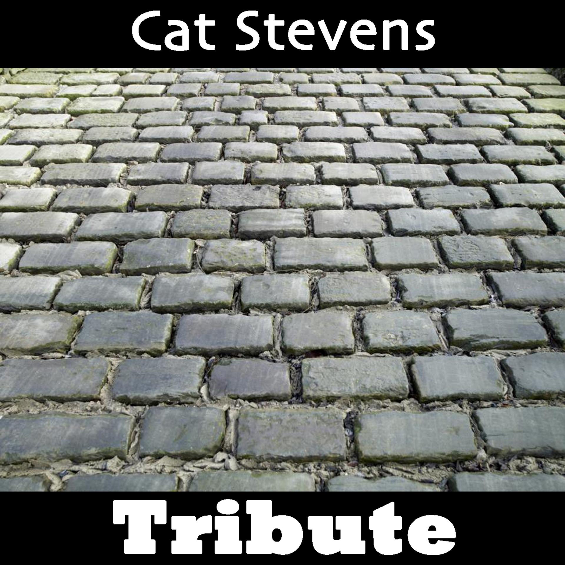 Постер альбома Wild World: Tribute To Cat Stevens