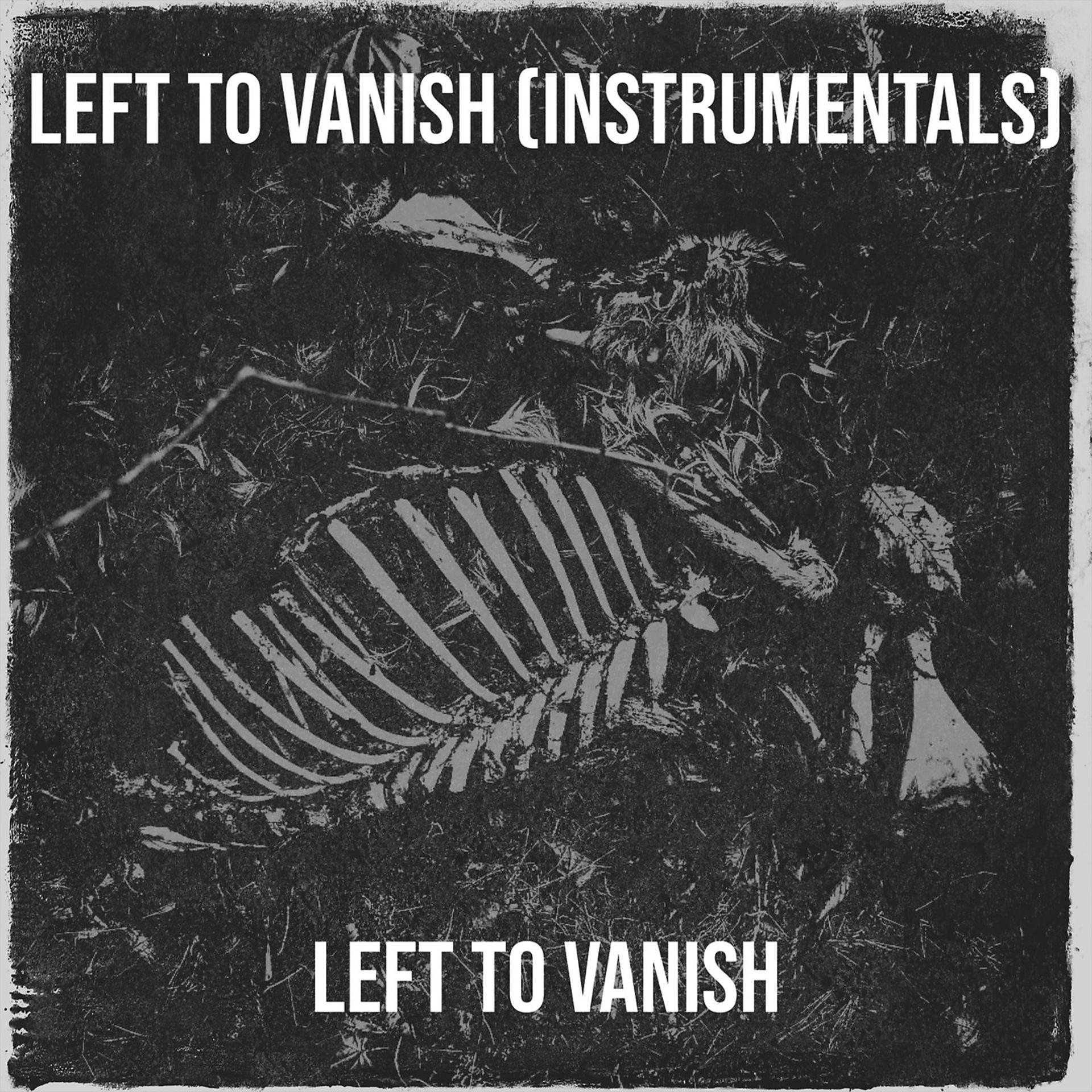 Постер альбома Left to Vanish (Instrumentals)