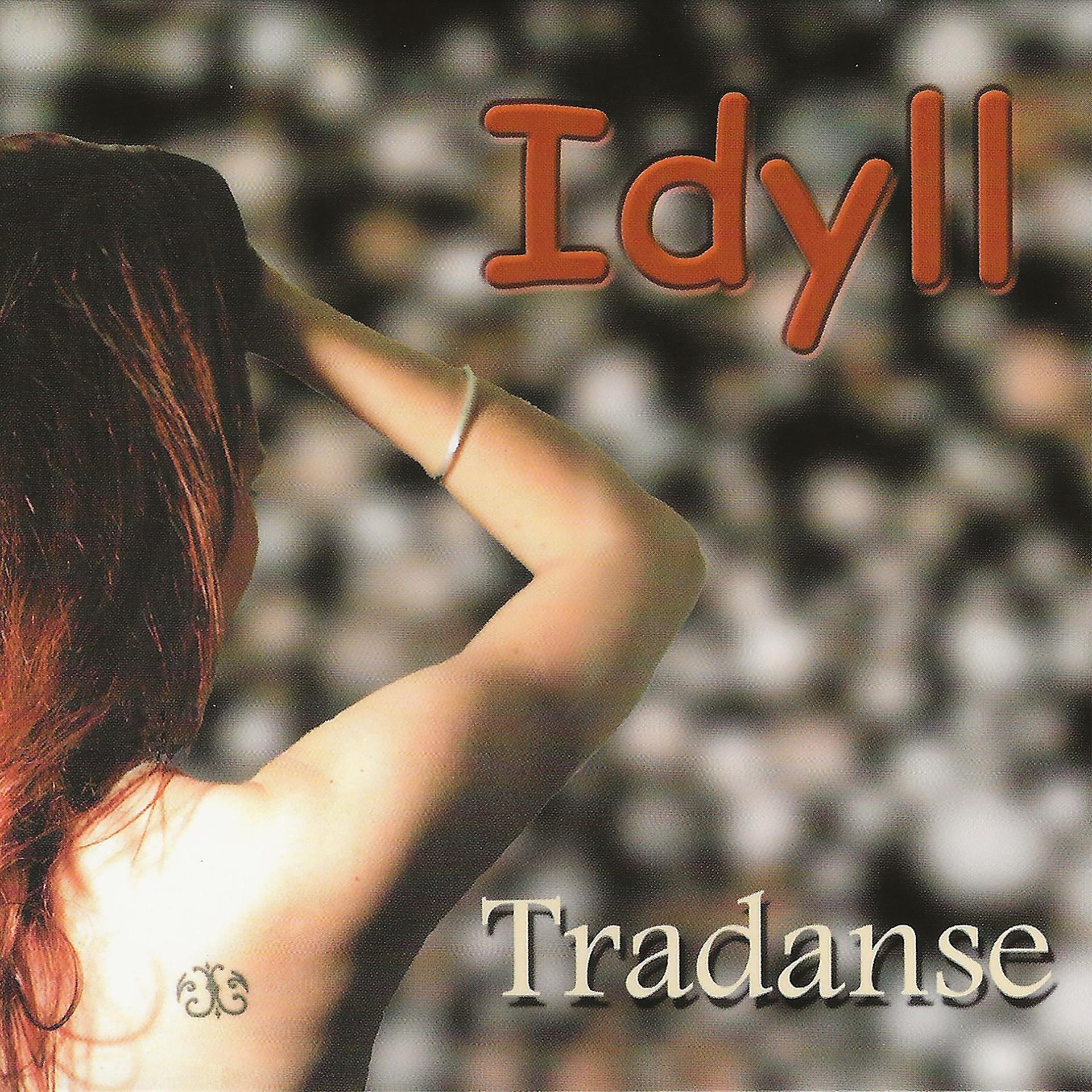 Постер альбома Tradanse