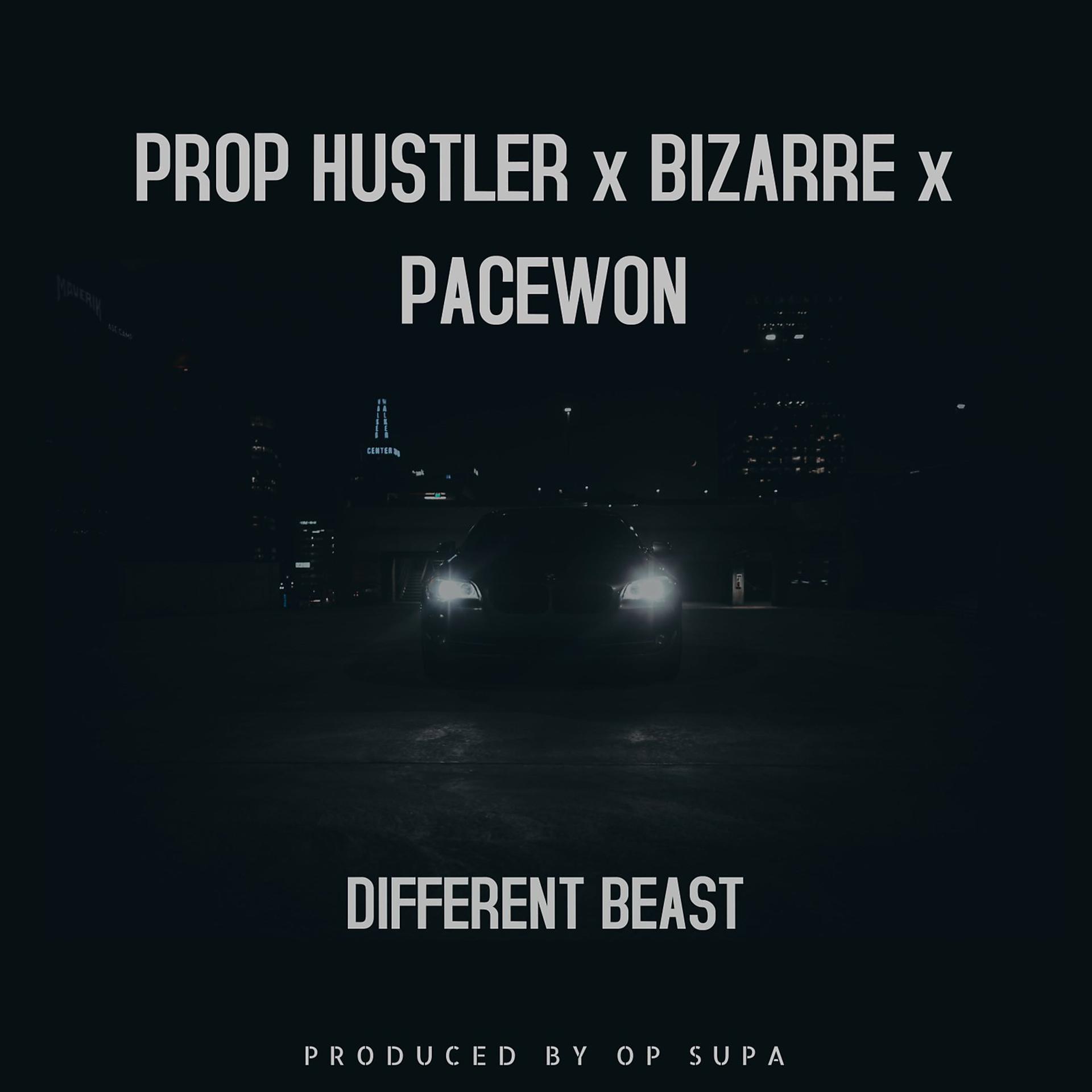 Постер альбома Different Beast