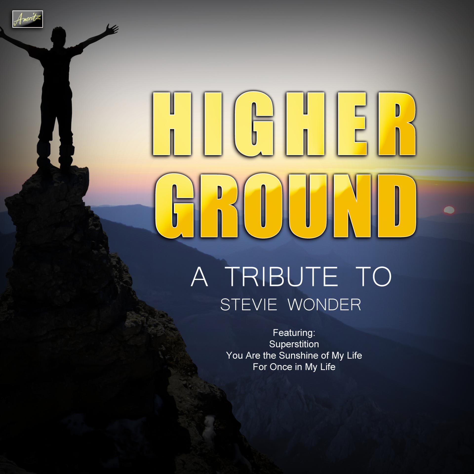 Постер альбома Higher Ground - A Tribute to Stevie Wonder